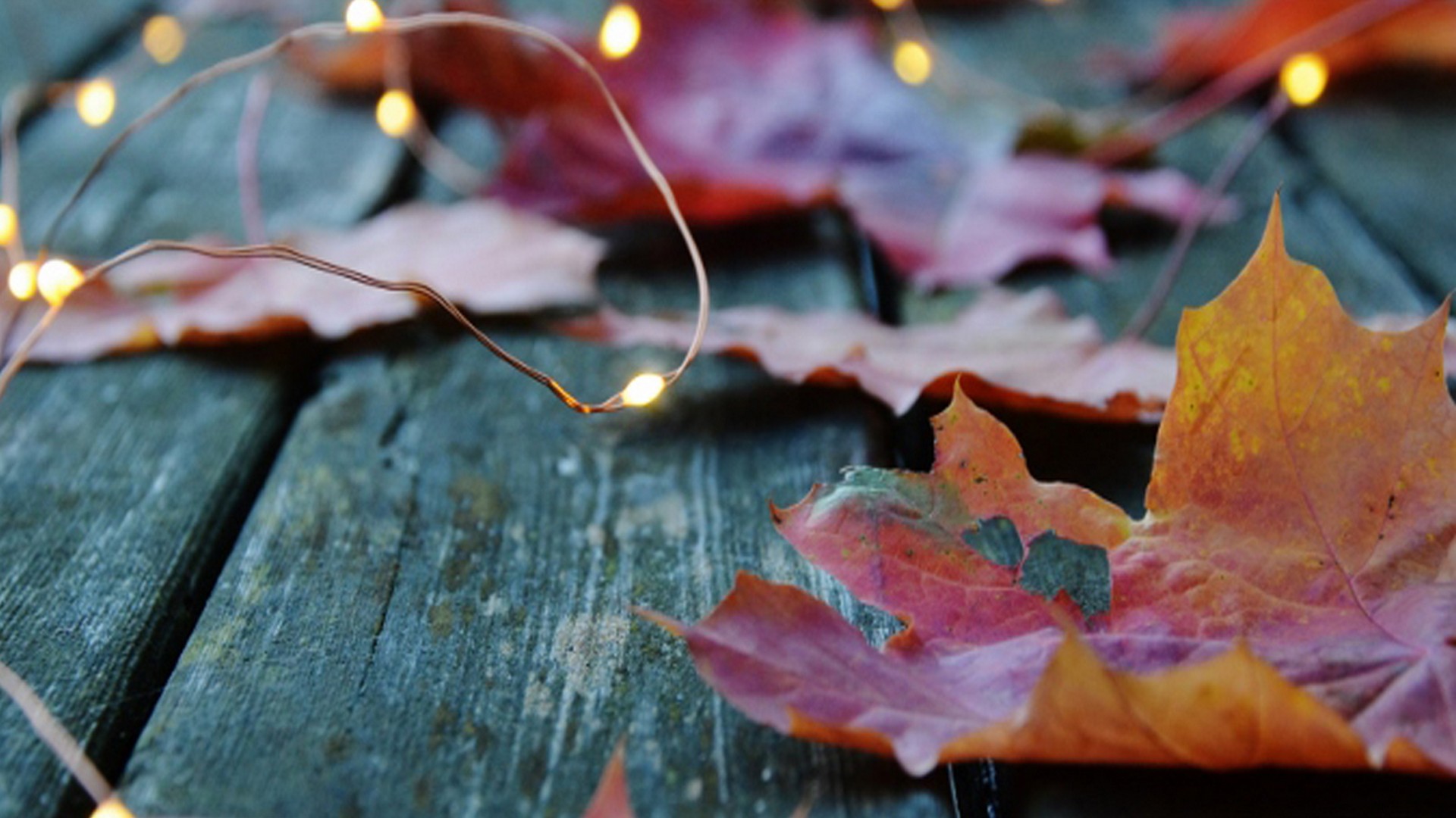 Cute Fall Wallpaper HD HD 2023