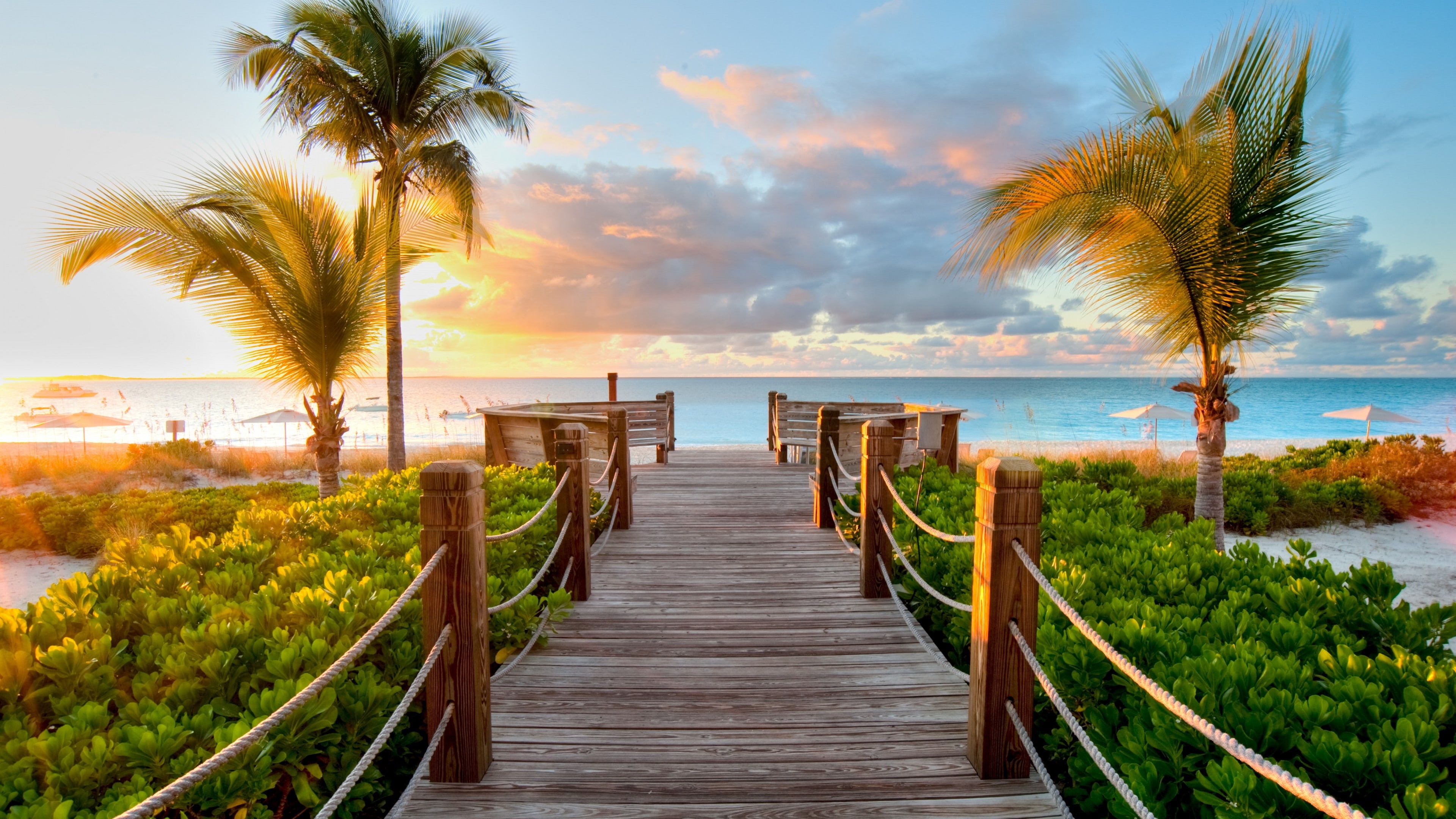 Wallpaper / 4K, Best beaches of 2017, wooden, pathway, 4k wallpaper, resort, leading, vacation, brown, tourism, travel, sky, ocean, palms, trees, palm, Turks and Caicos Islands free download