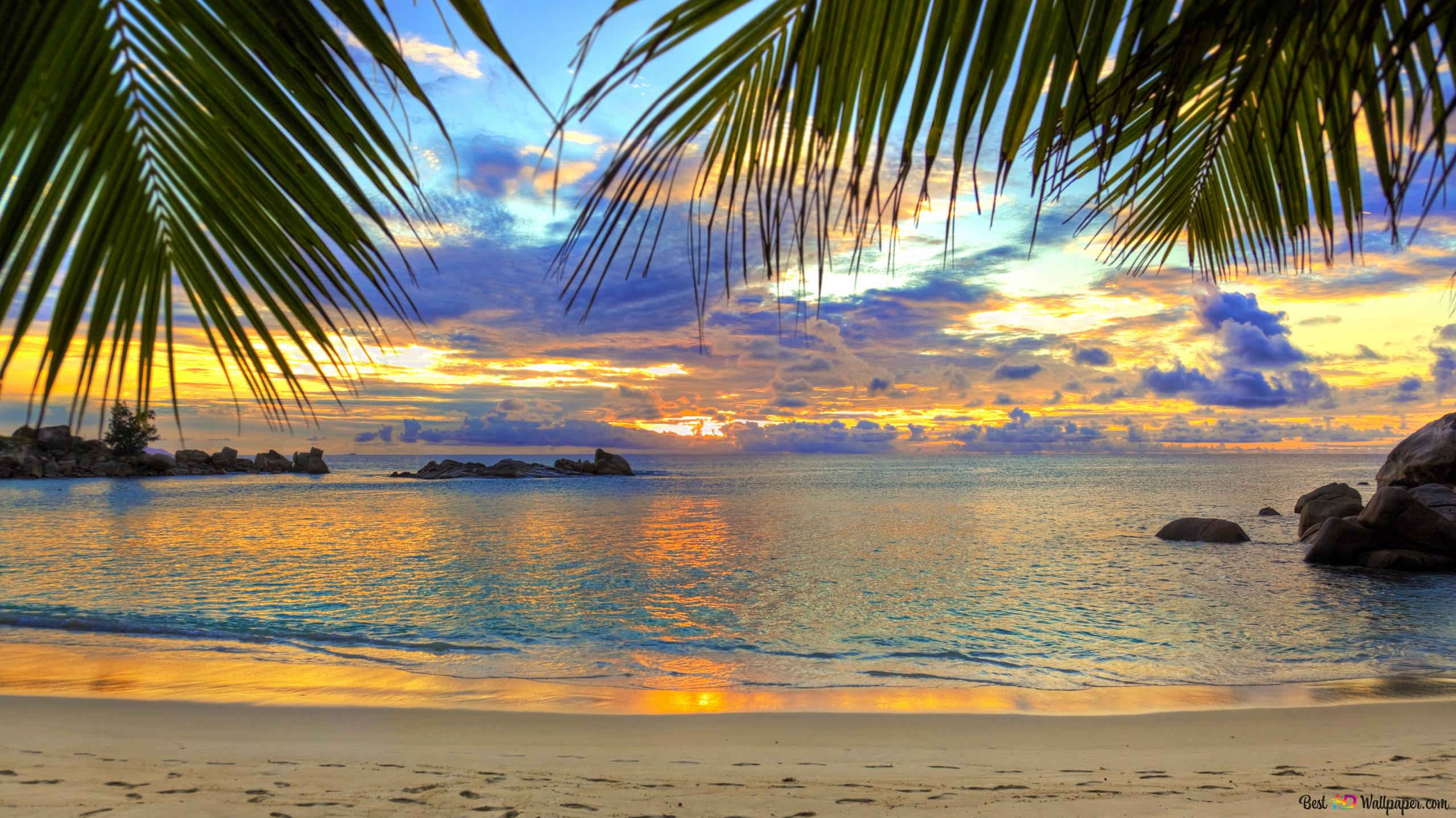 Nature tropics beach 4K wallpaper download