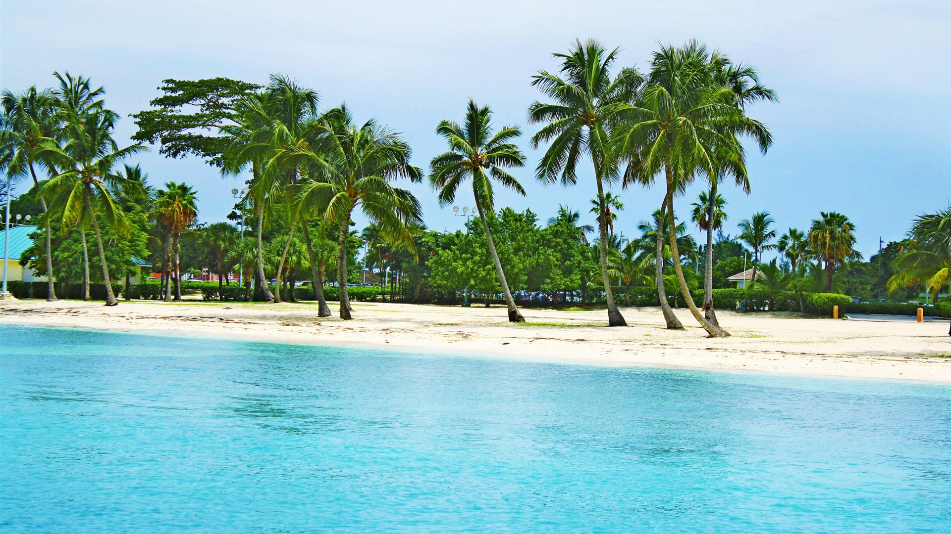 Bahamas Beach Palm Trees Summer Scenery HD Wallpaper