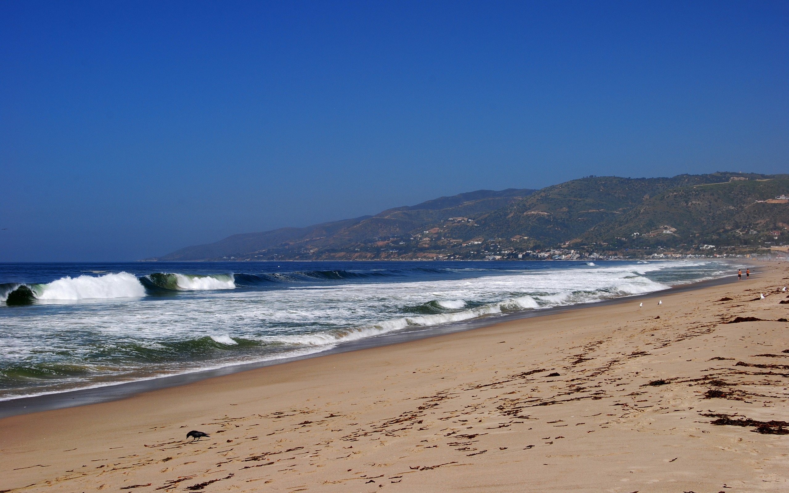 California Beach Wallpaper