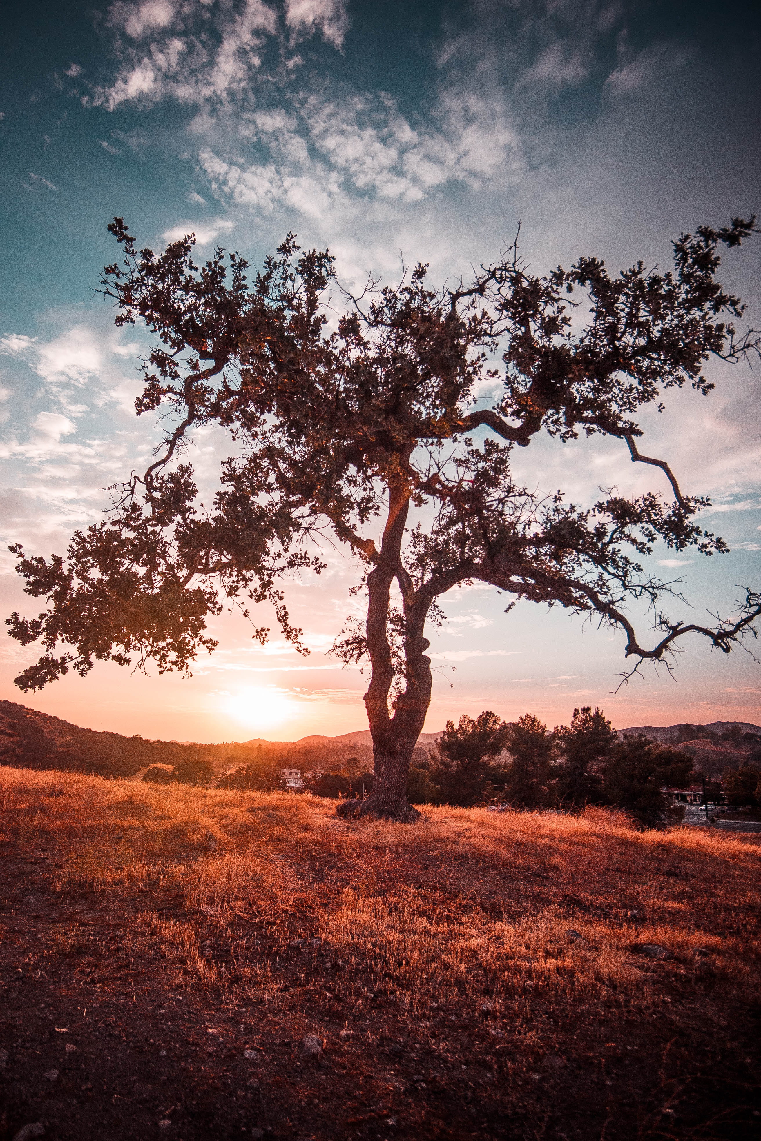 Wallpaper / Malibu, Tranquil Scene, Plant, Growth, Nature, Clouds, Scenics, Landscape, Land, No People, Story, 4K, Non Urban Scene, Field, Outdoors, Lifetime Free Download