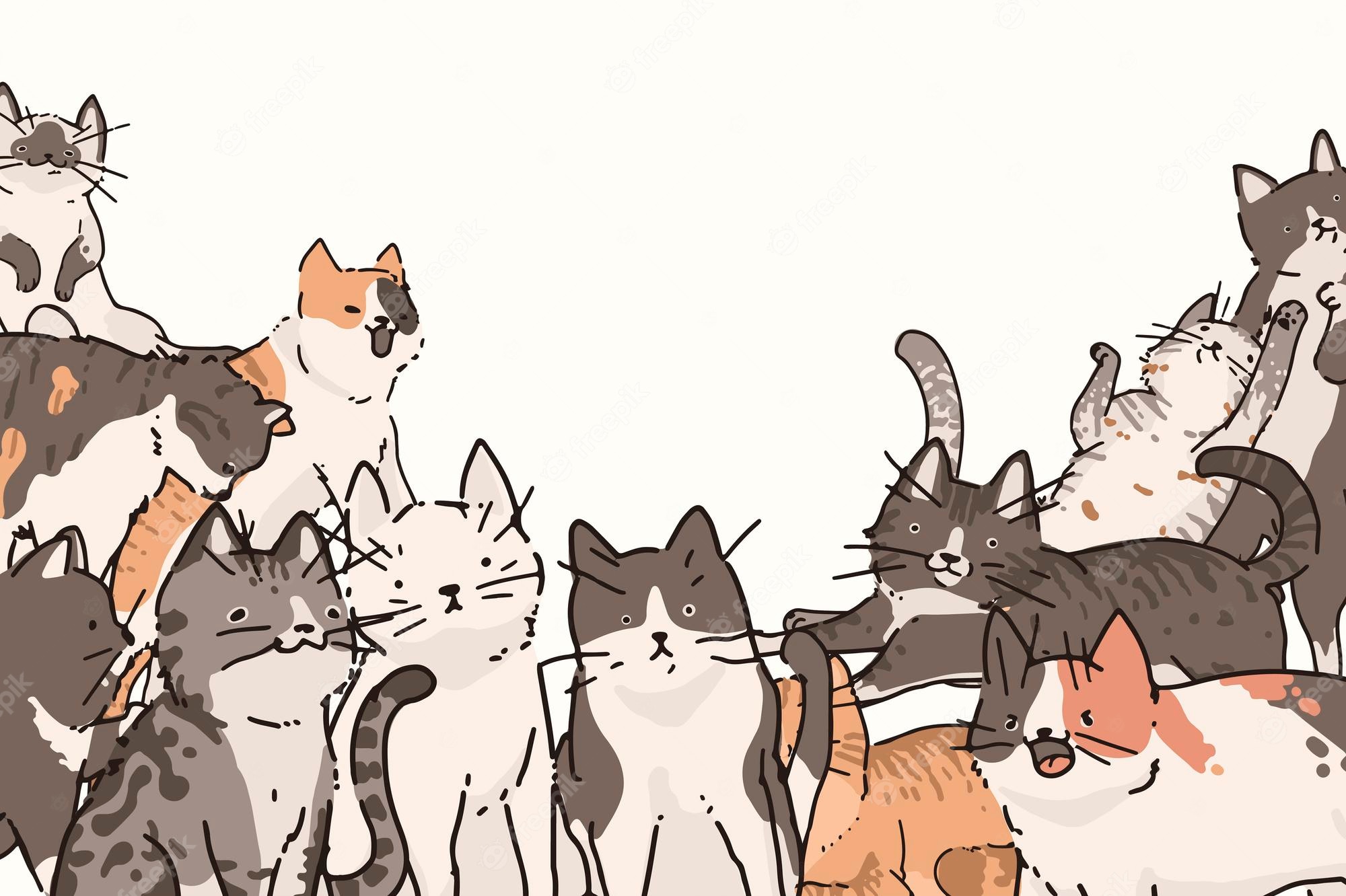 Cat Background Image