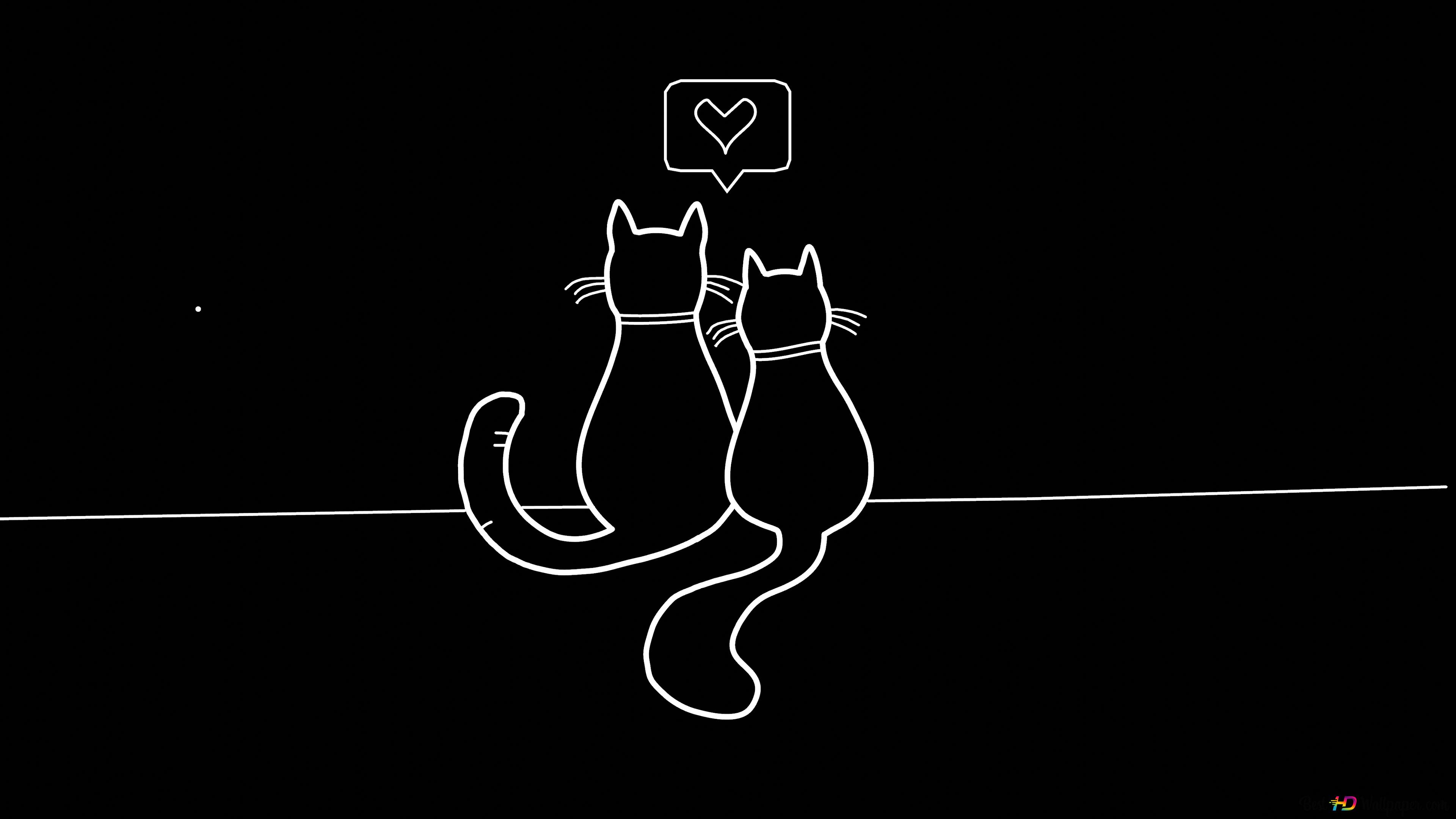 Lover cats Amoled 4K wallpaper download