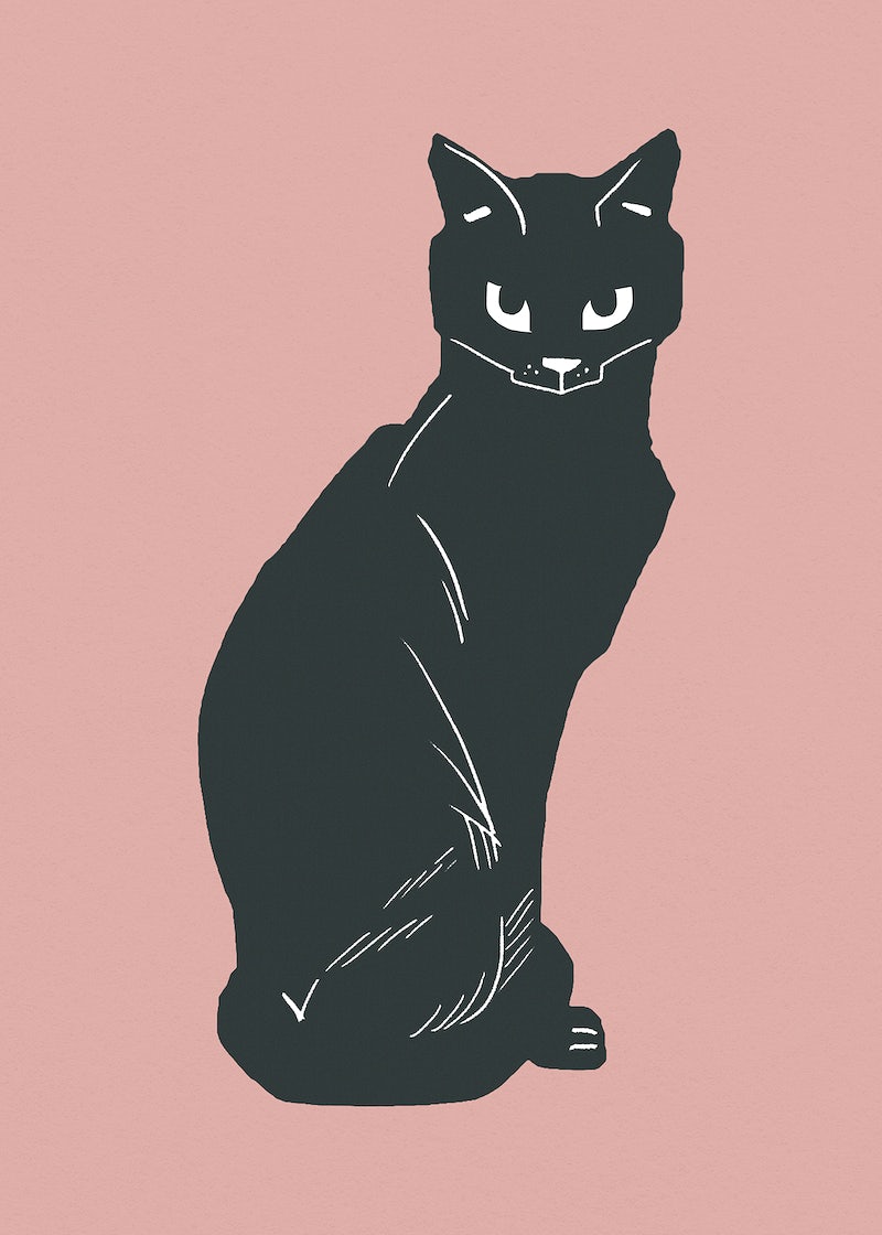 Black Cat Image Wallpaper