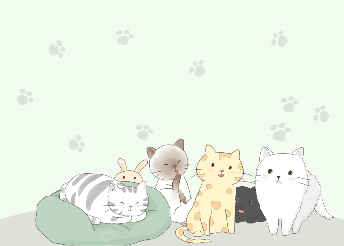 Cute Cat Background Image, HD Picture and Wallpaper For Free Download