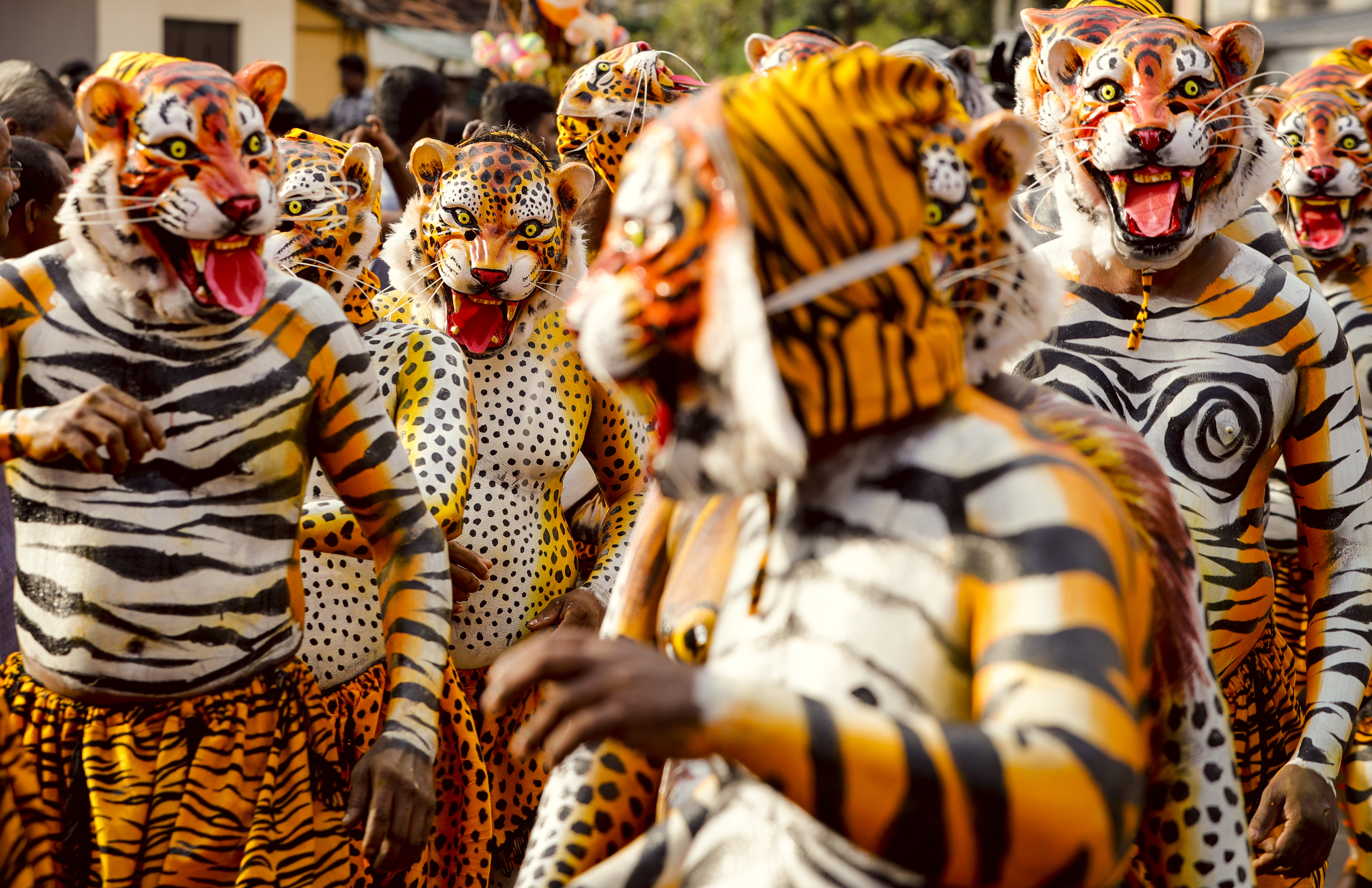 Pulikali. Onam festival celebrations. Tiger dance Kerala