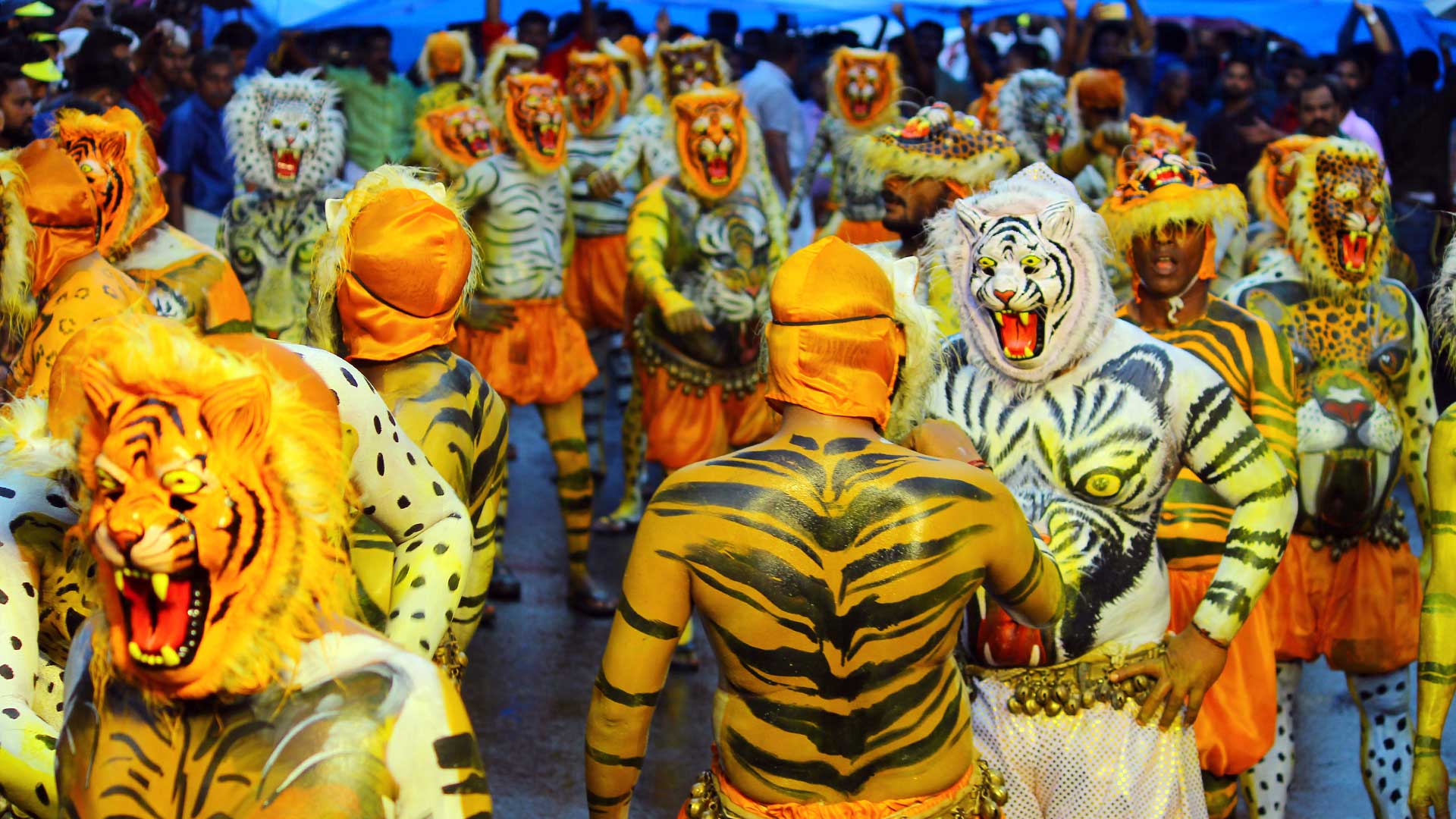Puli Kali Pulikkal Folk Art From Kerala History, Details And Exclusive Photo