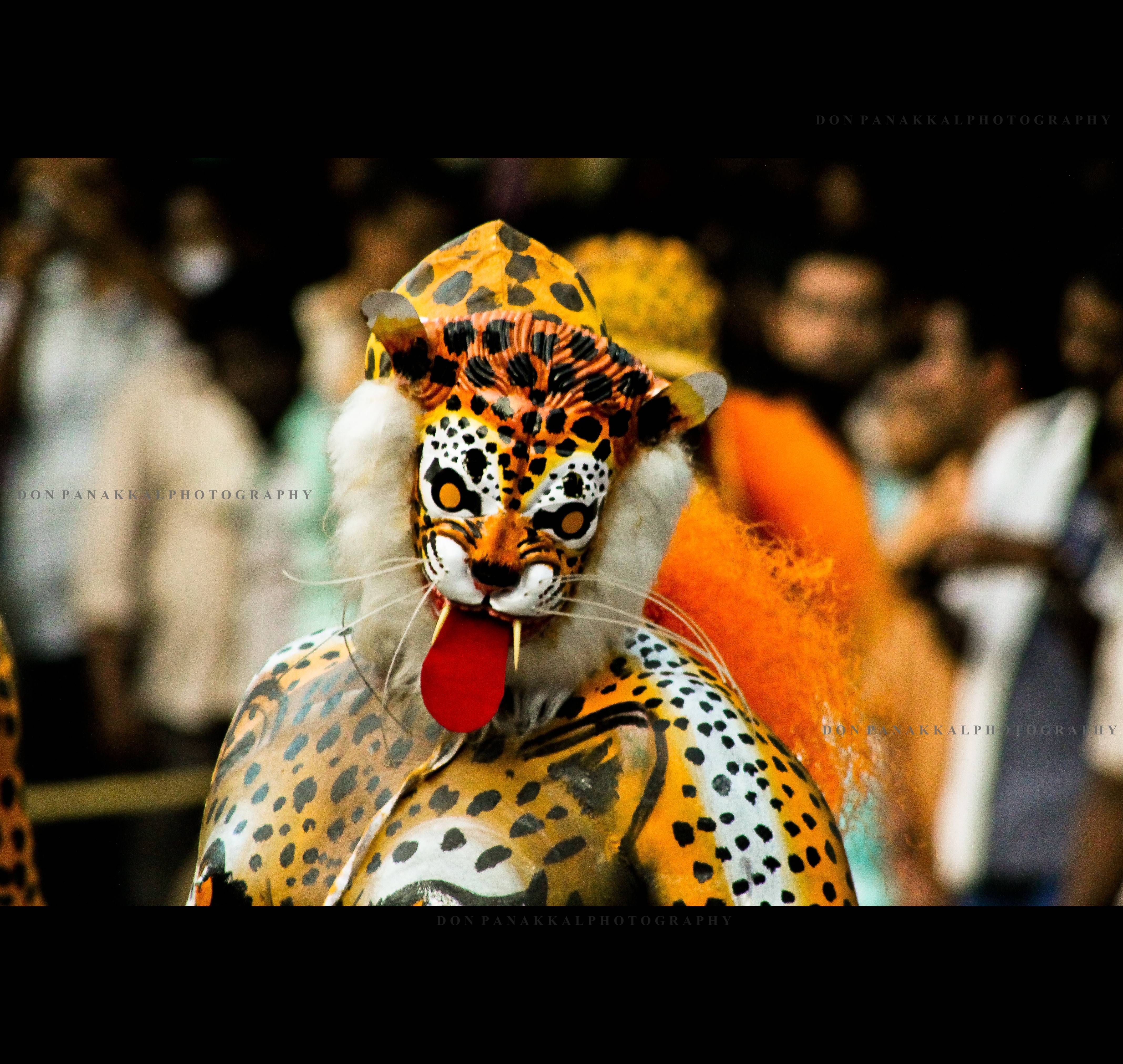 pulikali onam thrissur round celebrations. Art drawings beautiful, Kerala, Thrissur