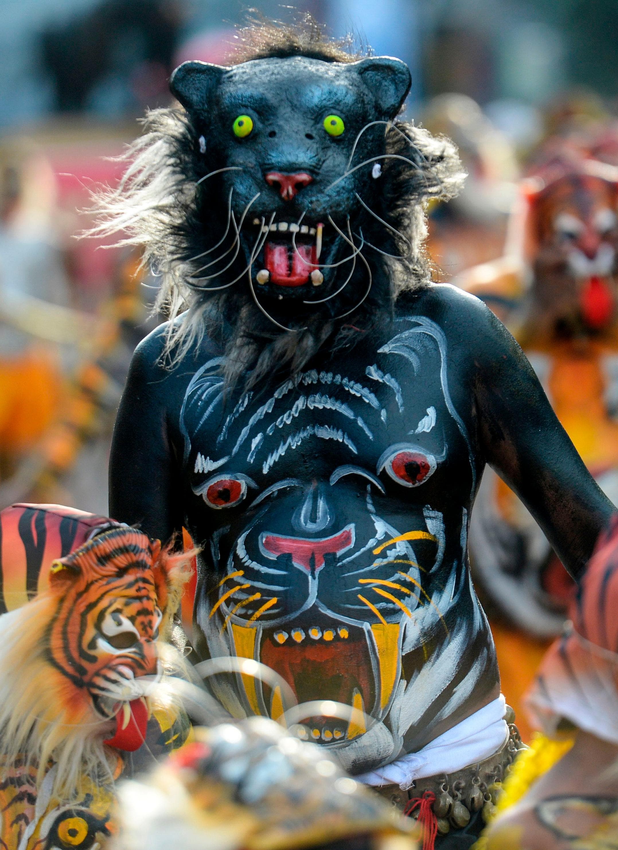 Here come the tigers!, Here come the tigers, Onam celebration 2022, Pulikkali in Kerala, Men dressed as tigers