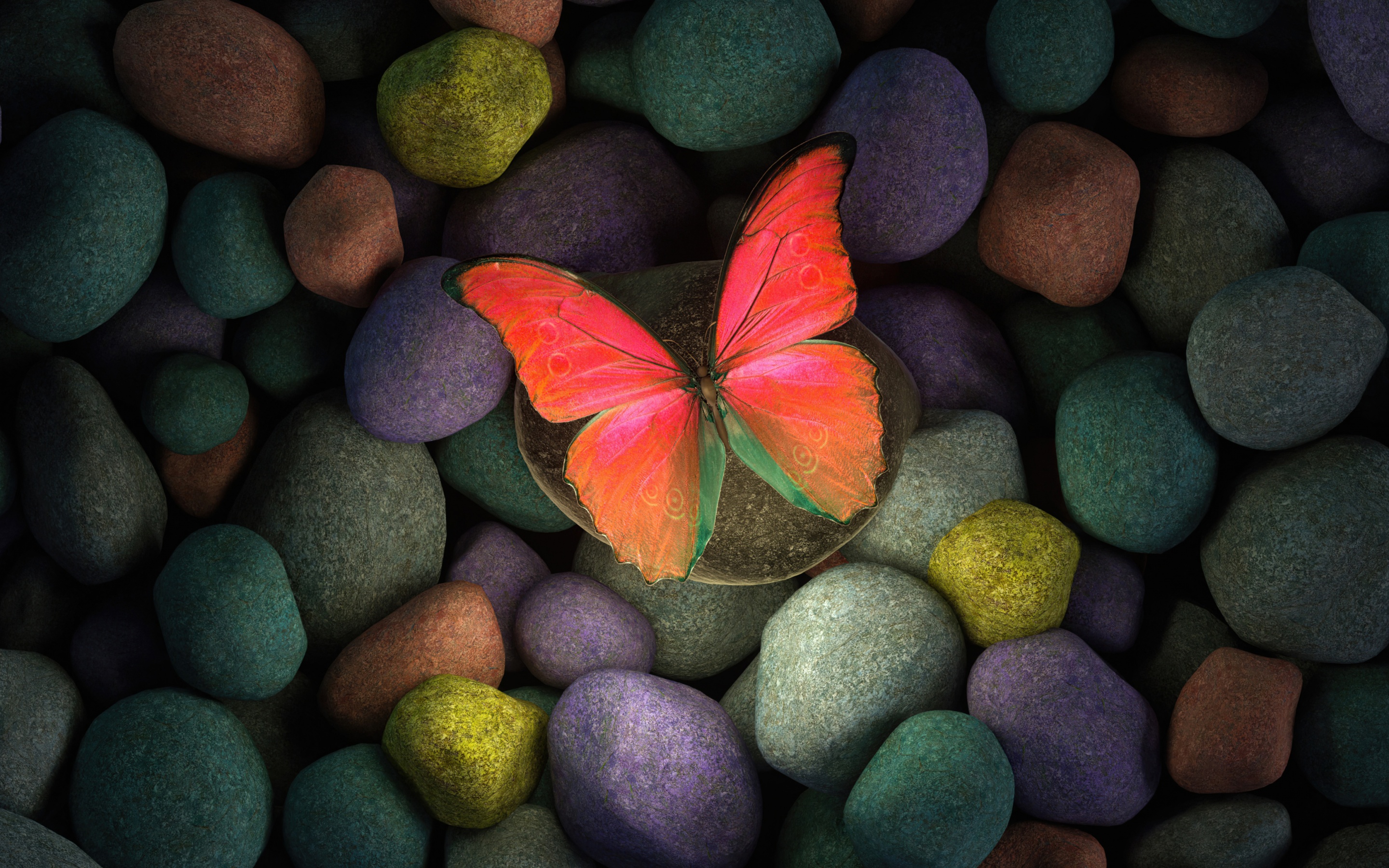 Butterfly Wallpaper 4K, Stones, Colorful, Focus, Pebbles