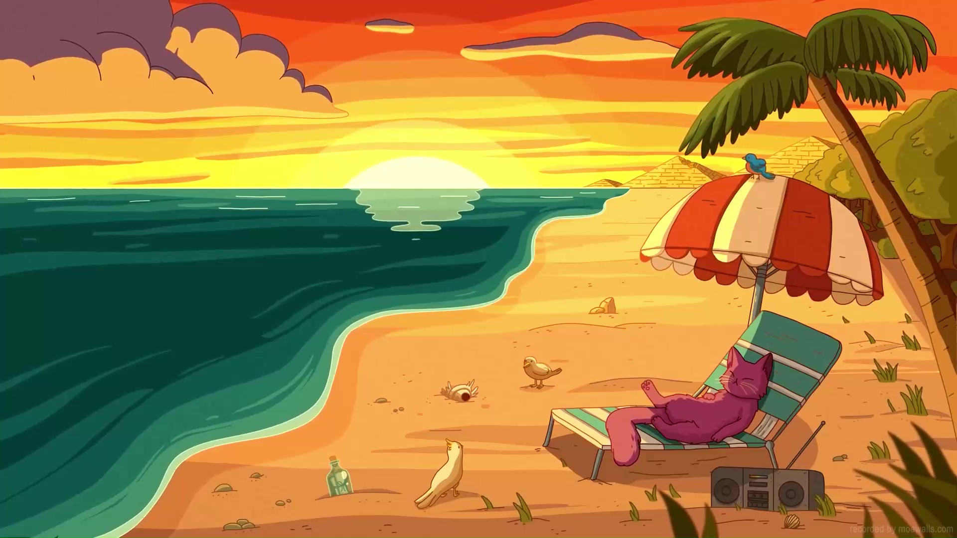 Summer Beach Cat Live Wallpaper