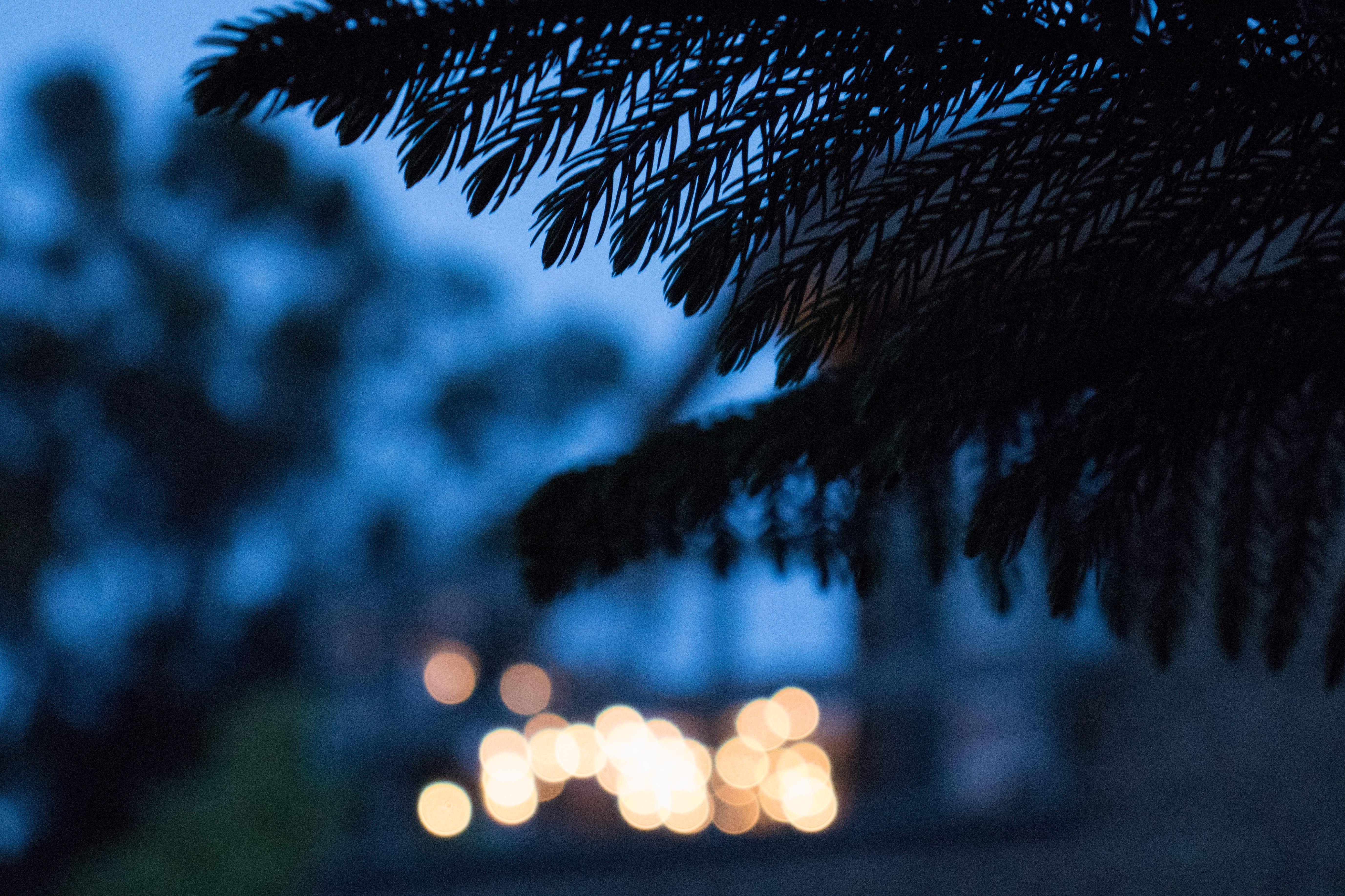 lofi 1080P, 2k, 4k Full HD Wallpaper, Background Free Download