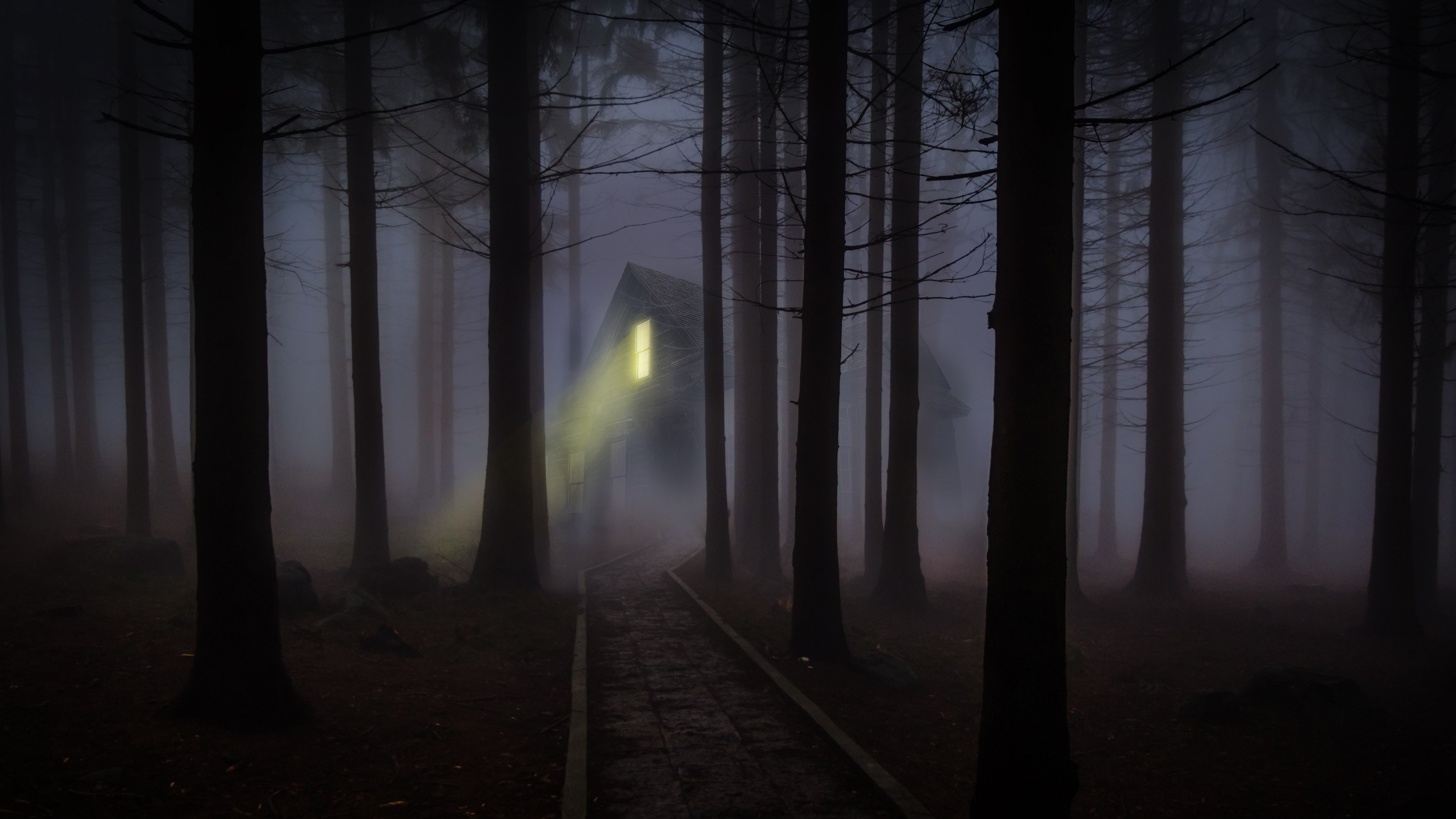 Wallpaper / foggy mist forest trees spooky haunted wooden 4k wallpaper free download