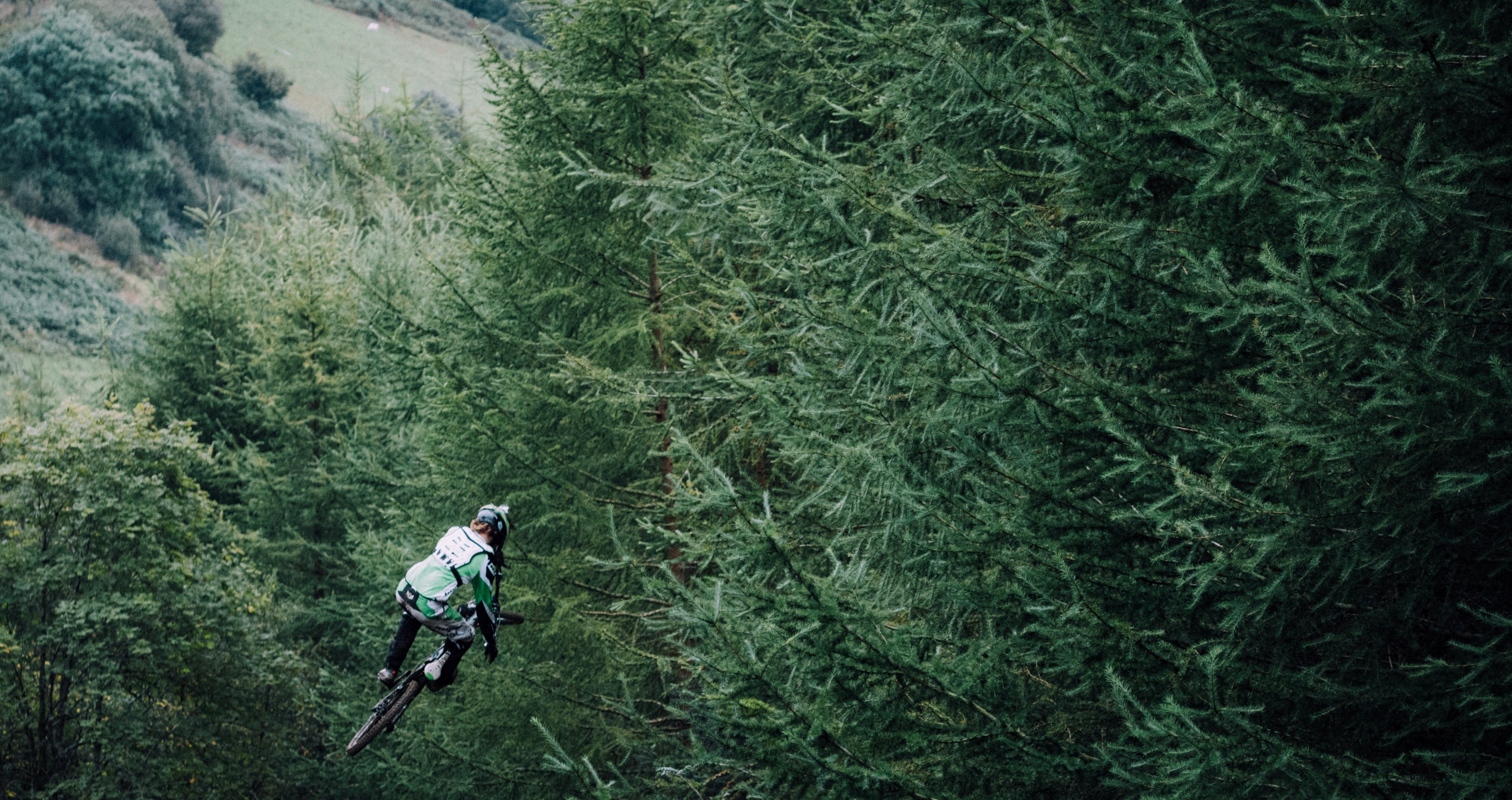 Wallpaper / bike forest sport and mountain bike HD 4k wallpaper free download