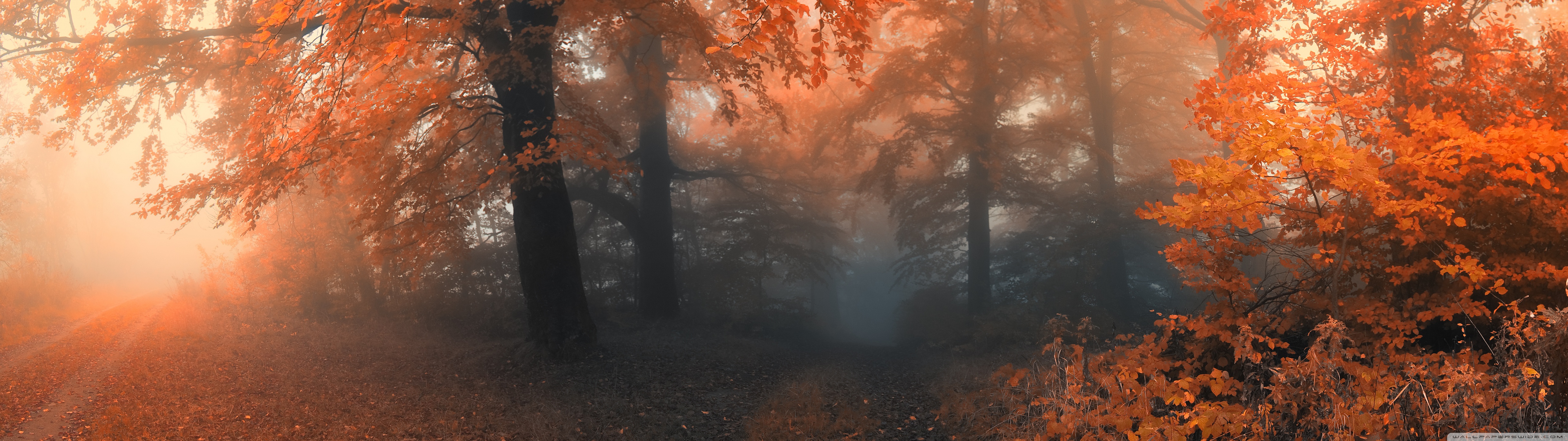 Autumn Ultra HD Desktop Background Wallpaper for: Multi Display, Dual Monitor, Tablet