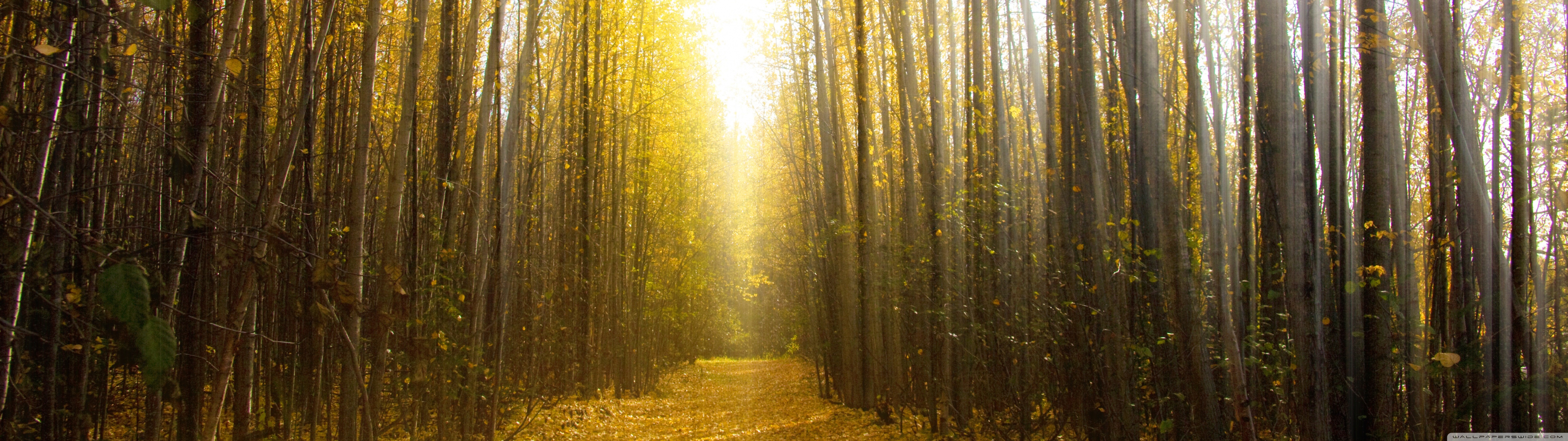 Autumn in Alaska Ultra HD Desktop Background Wallpaper for 4K UHD TV, Widescreen & UltraWide Desktop & Laptop, Multi Display, Dual Monitor, Tablet