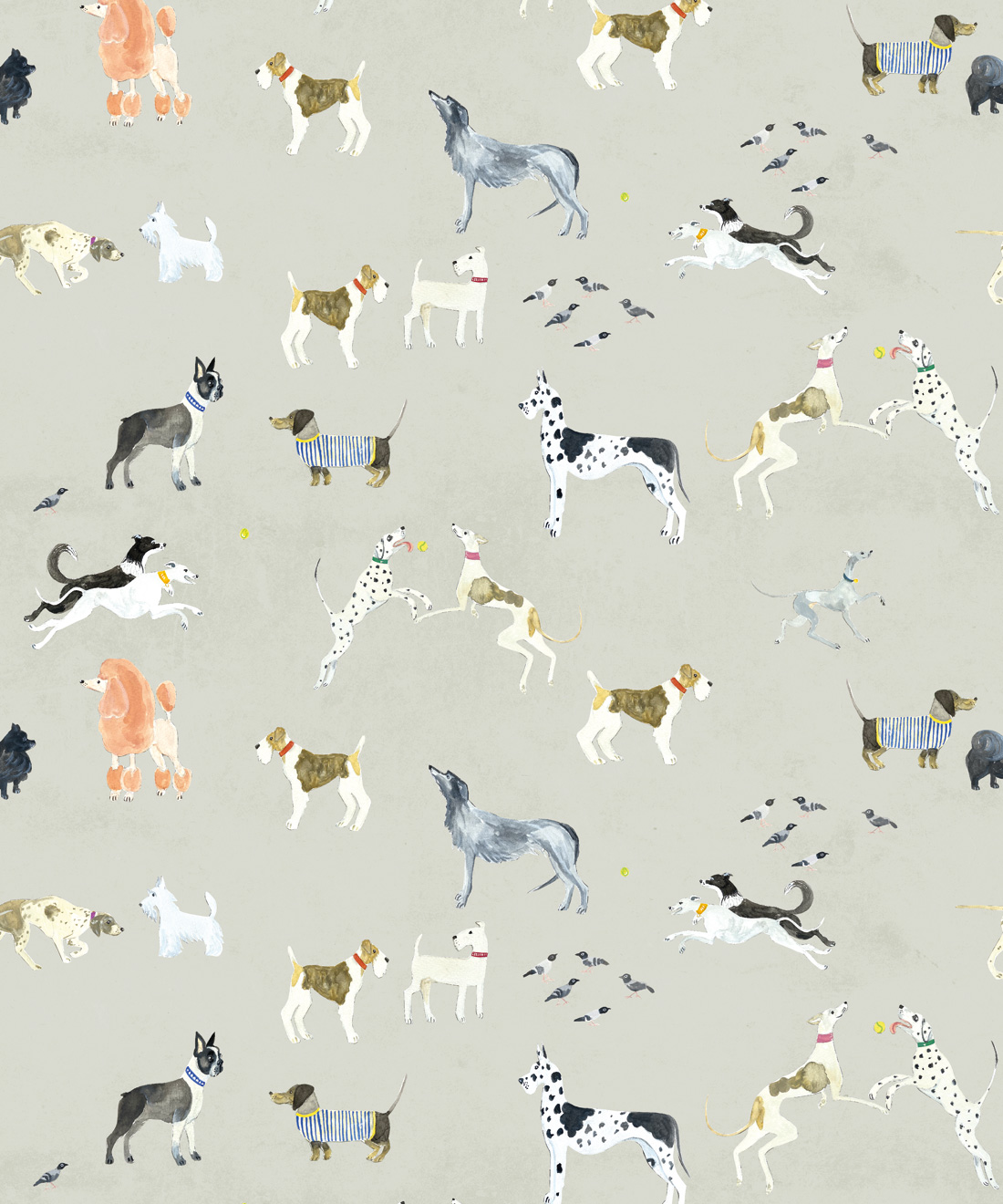 Doggies Wallpaper • Wallpaper for Dog