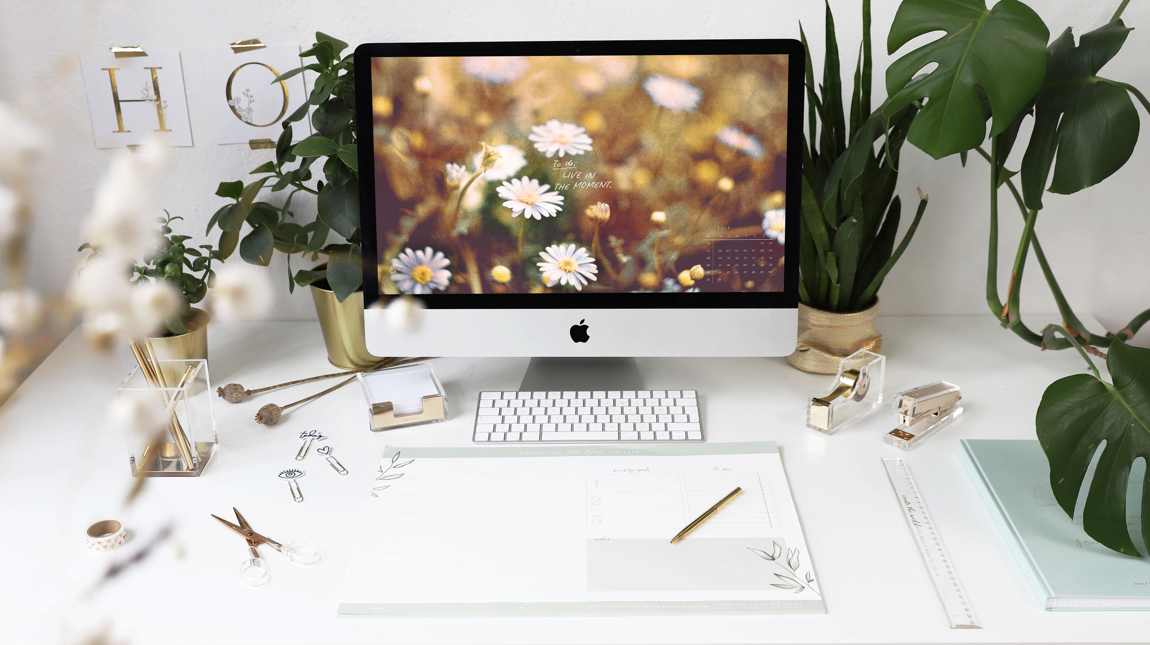 Free Wallpaper. Discover new Designs every Month. JO & JUDY