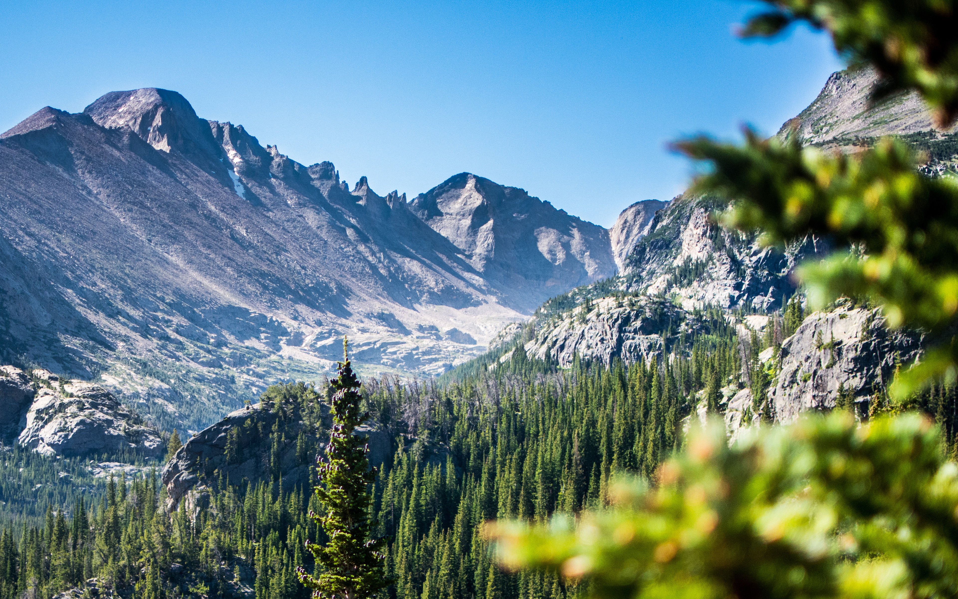 wallpaper for desktop, laptop. nature mountain green tree