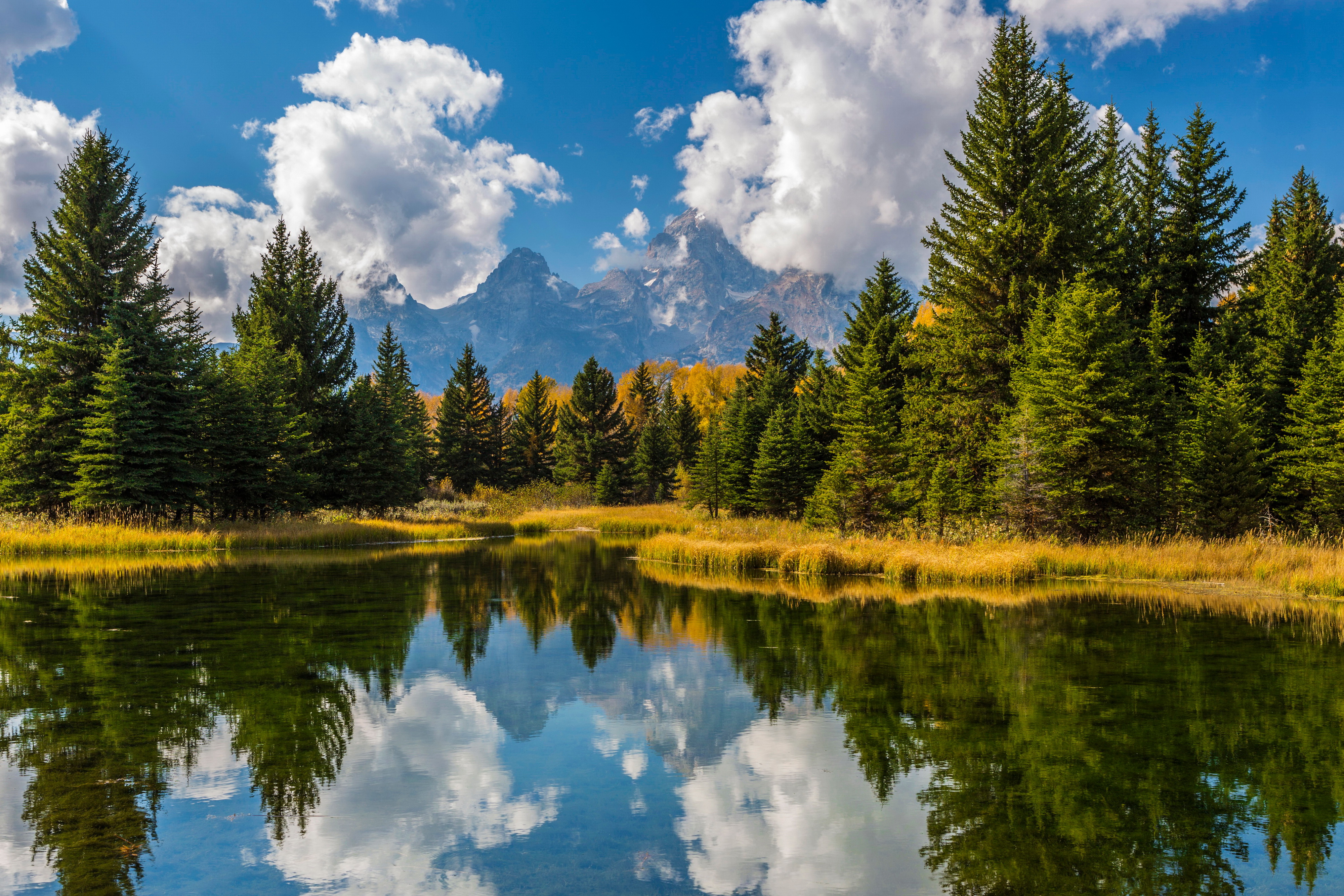 Green Trees With Lake in Between 4K wallpaper