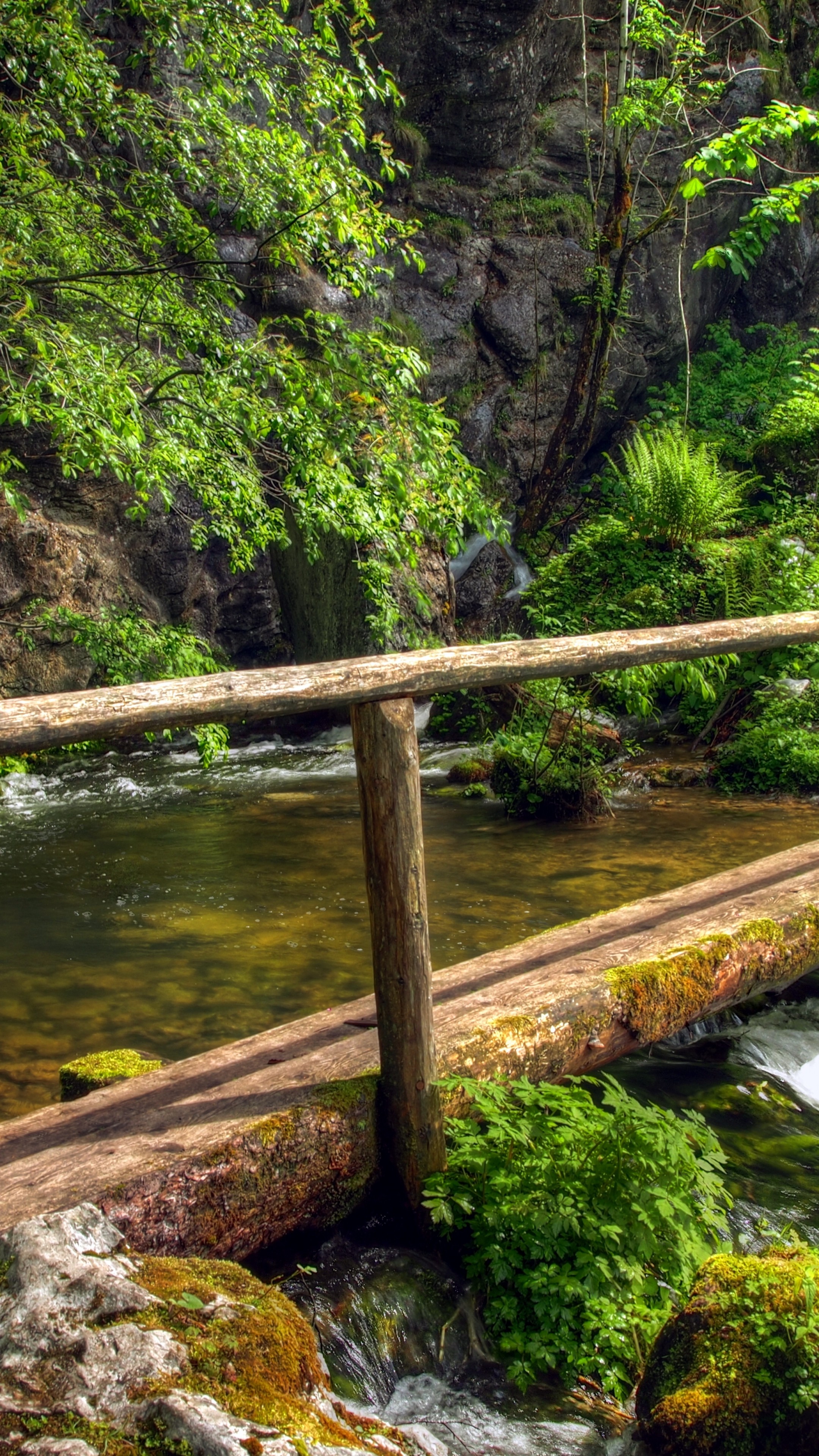 Wallpaper forest, 5k, 4k wallpaper, green, trees, plants, waterfall, bridge, Nature