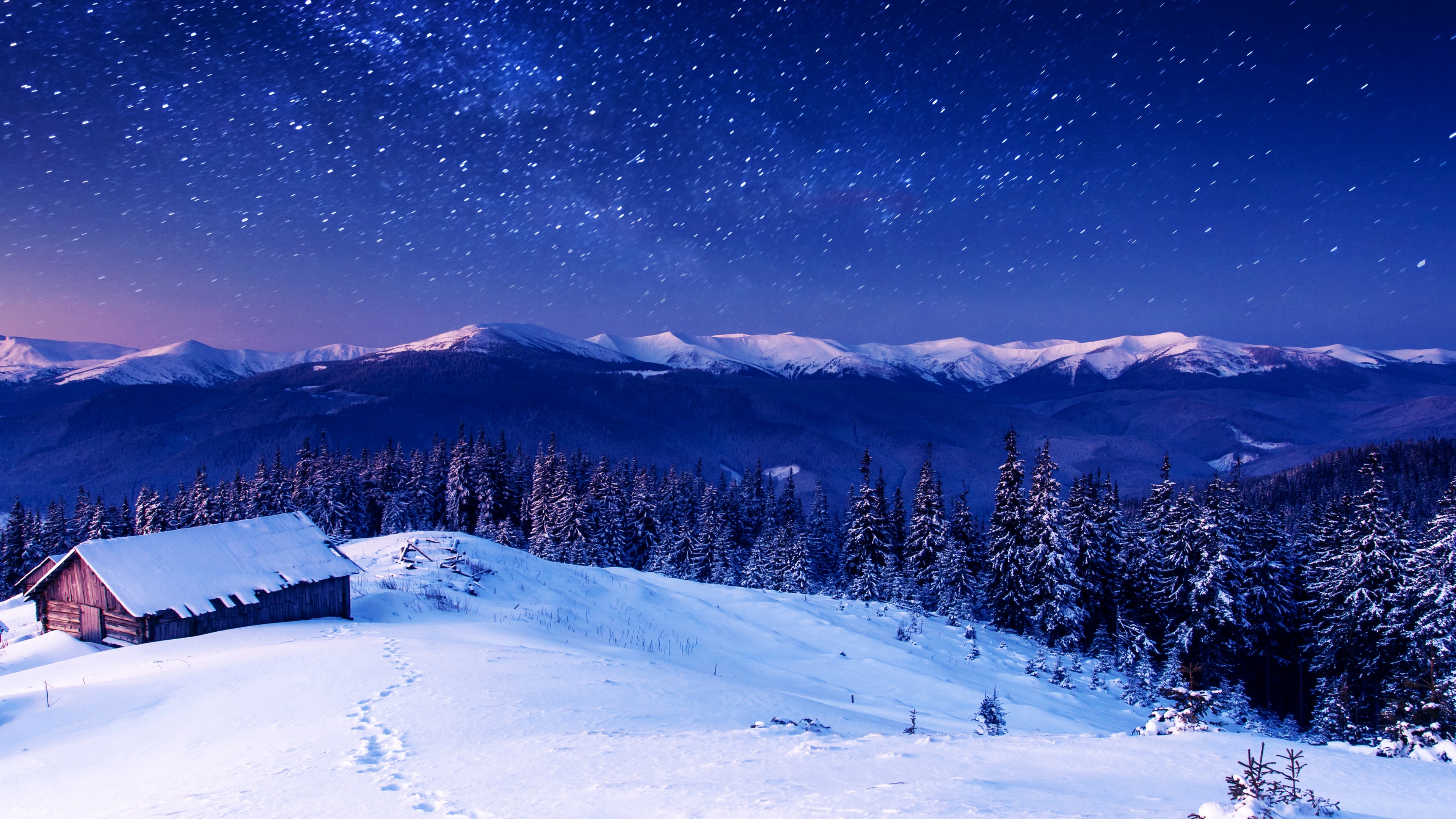 Wallpaper / Mountains, 4K, 4k wallpaper, 4K, night, stars, trees, sky, snow free download