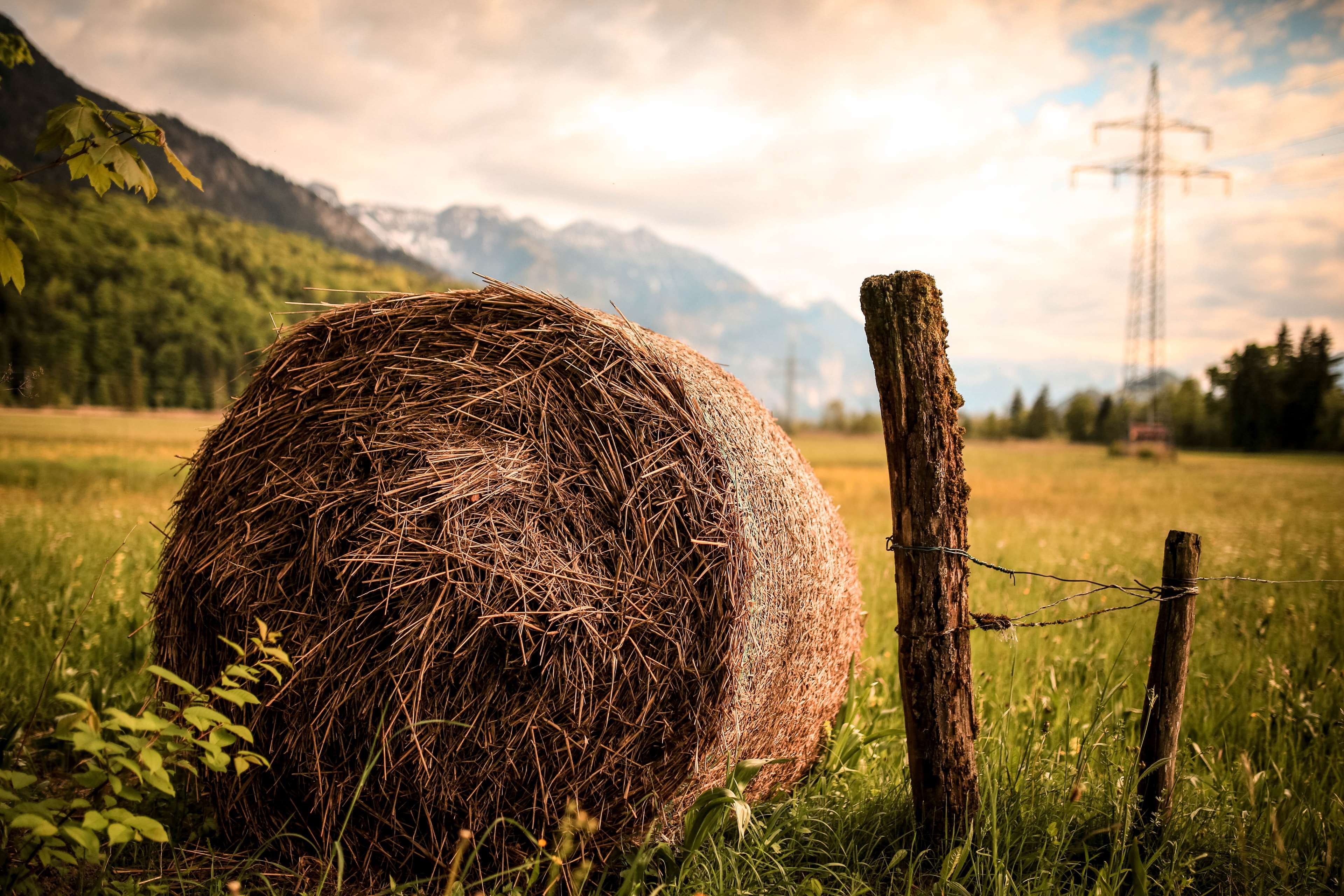 Summer Farmland Wallpapers Wallpaper Cave