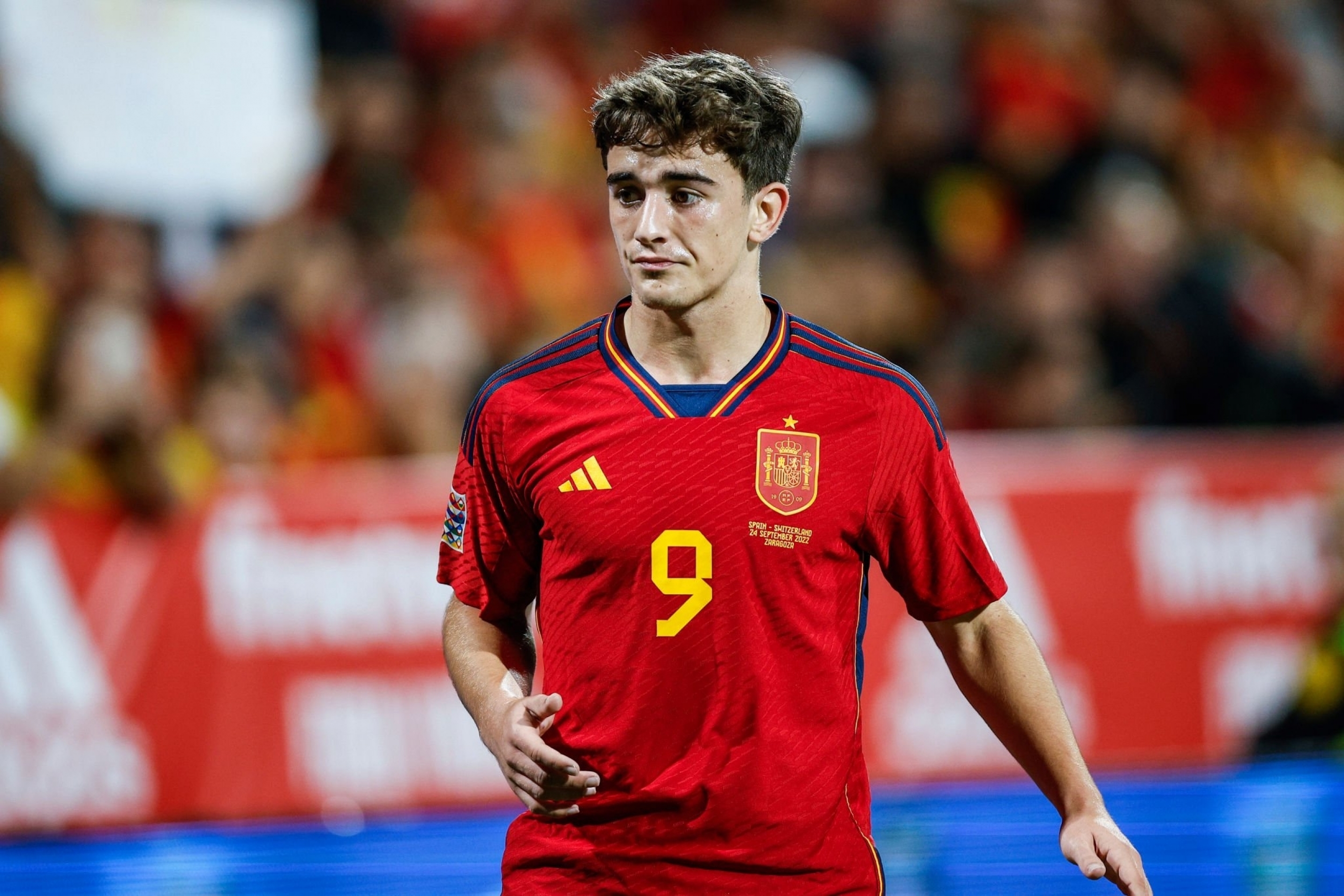 Download Spain National Football Team