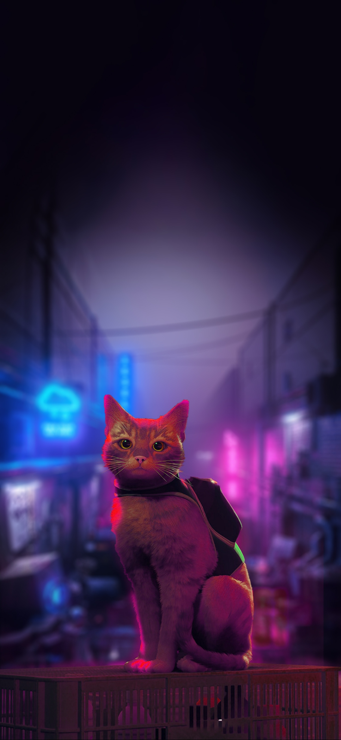 Best Stray Cat Game iphone Wallpaper [ HQ ]