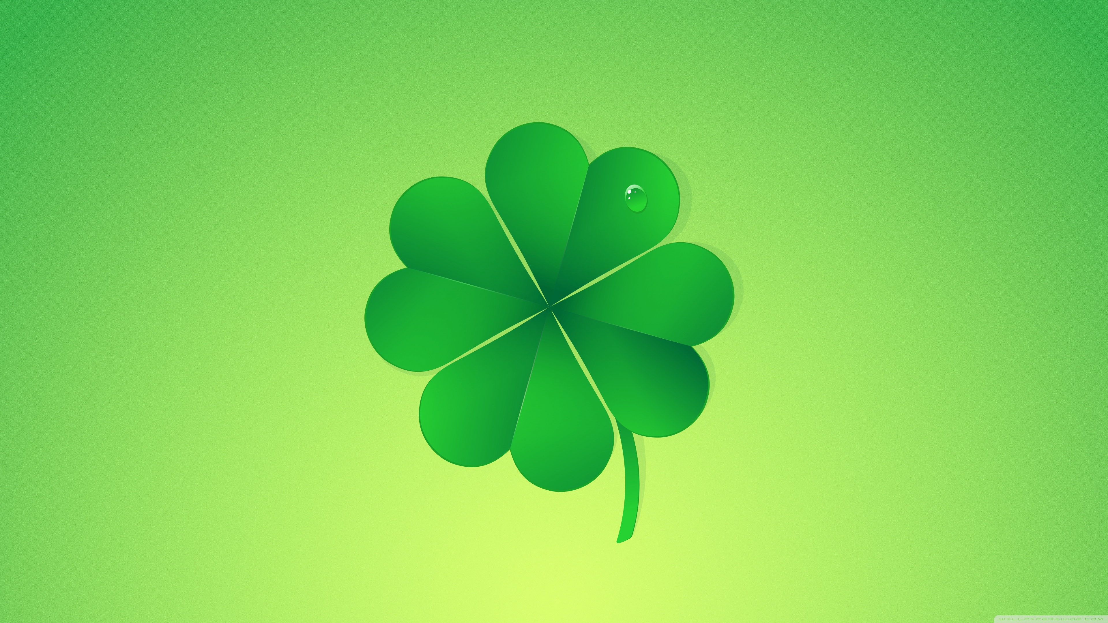 Happy Saint Patrick's Day Lucky Clover Ultra HD Desktop Background Wallpaper for 4K UHD TV, Widescreen & UltraWide Desktop & Laptop