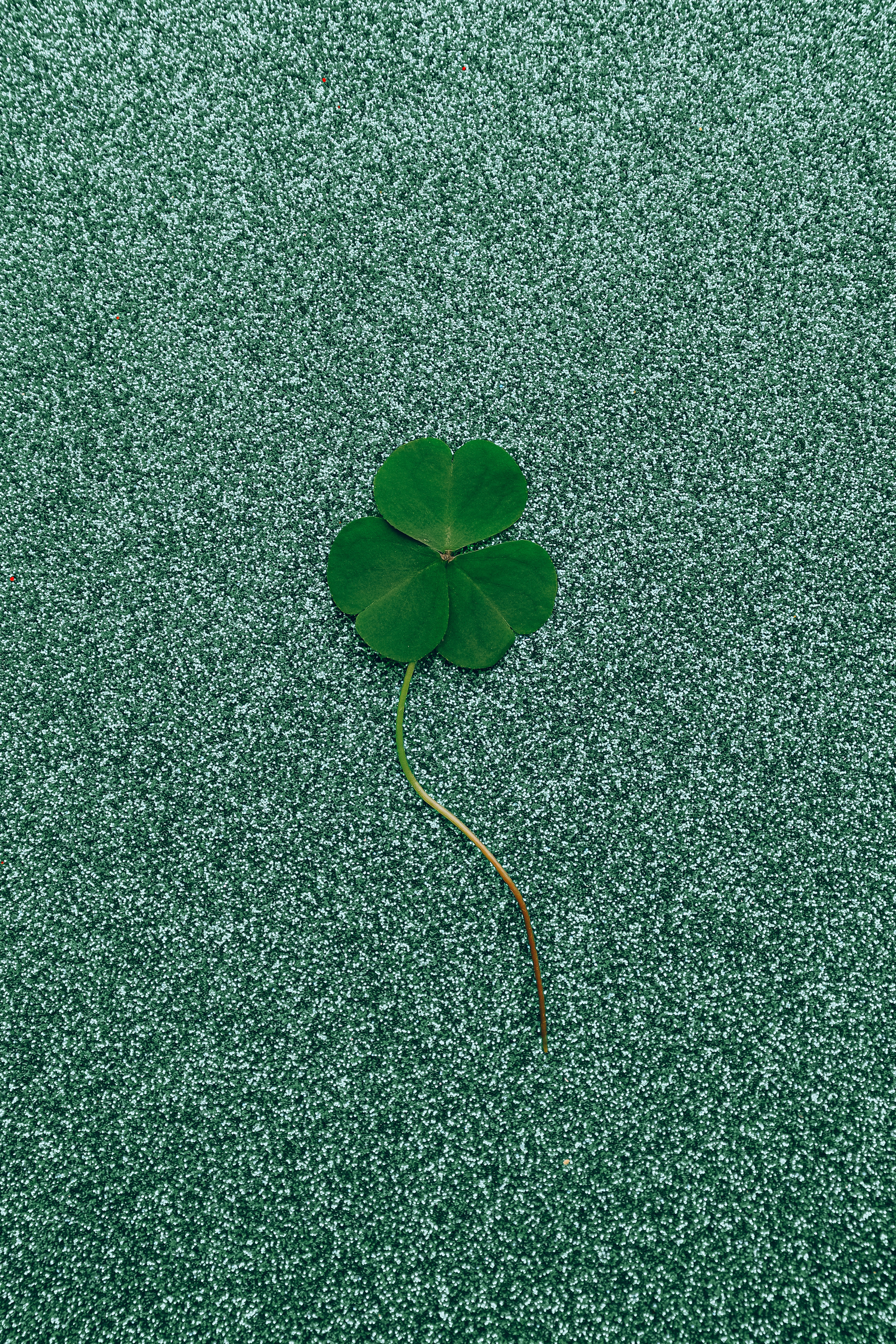 Good Luck Photo, Download The BEST Free Good Luck & HD Image