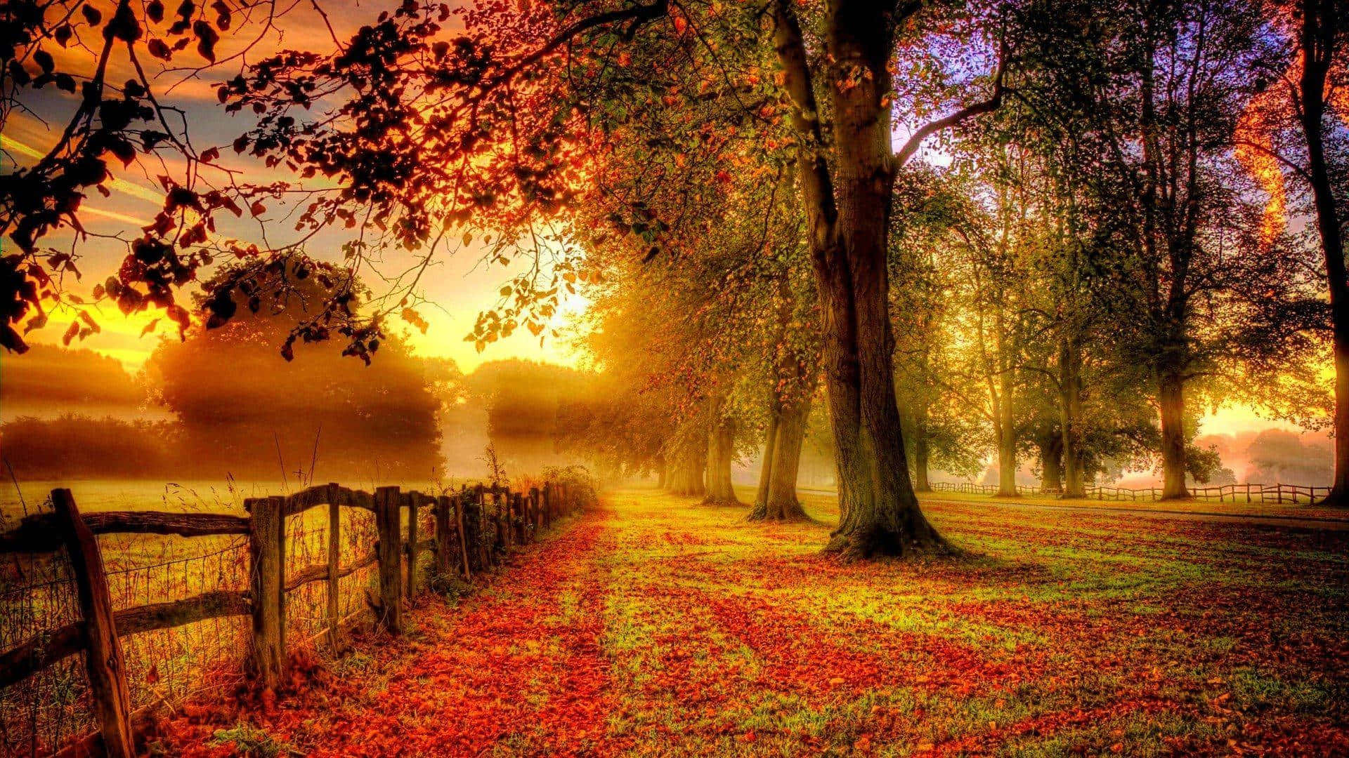 Download A Beautiful Autumn Scenery in High Resolution
