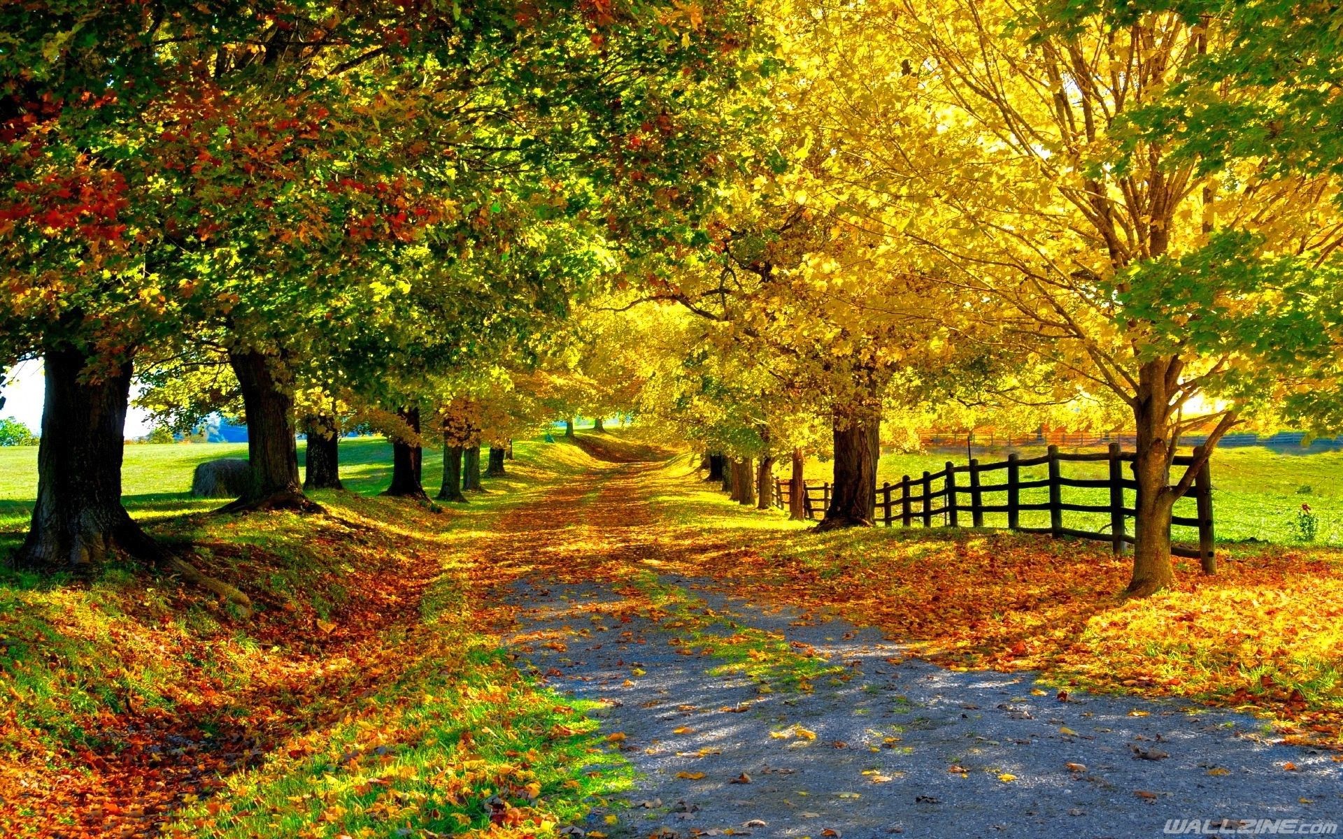 Beautiful Autumn Wallpaper