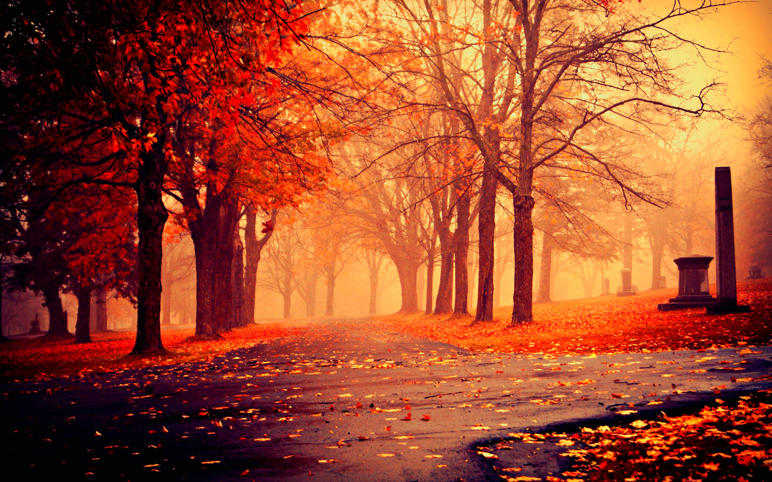 Free download Autumn Nature Wallpaper HD Picture One HD Wallpaper Picture [2560x1600] for your Desktop, Mobile & Tablet. Explore Beautiful Autumn Wallpaper. Beautiful Autumn Wallpaper, Autumn Background, Autumn Wallpaper