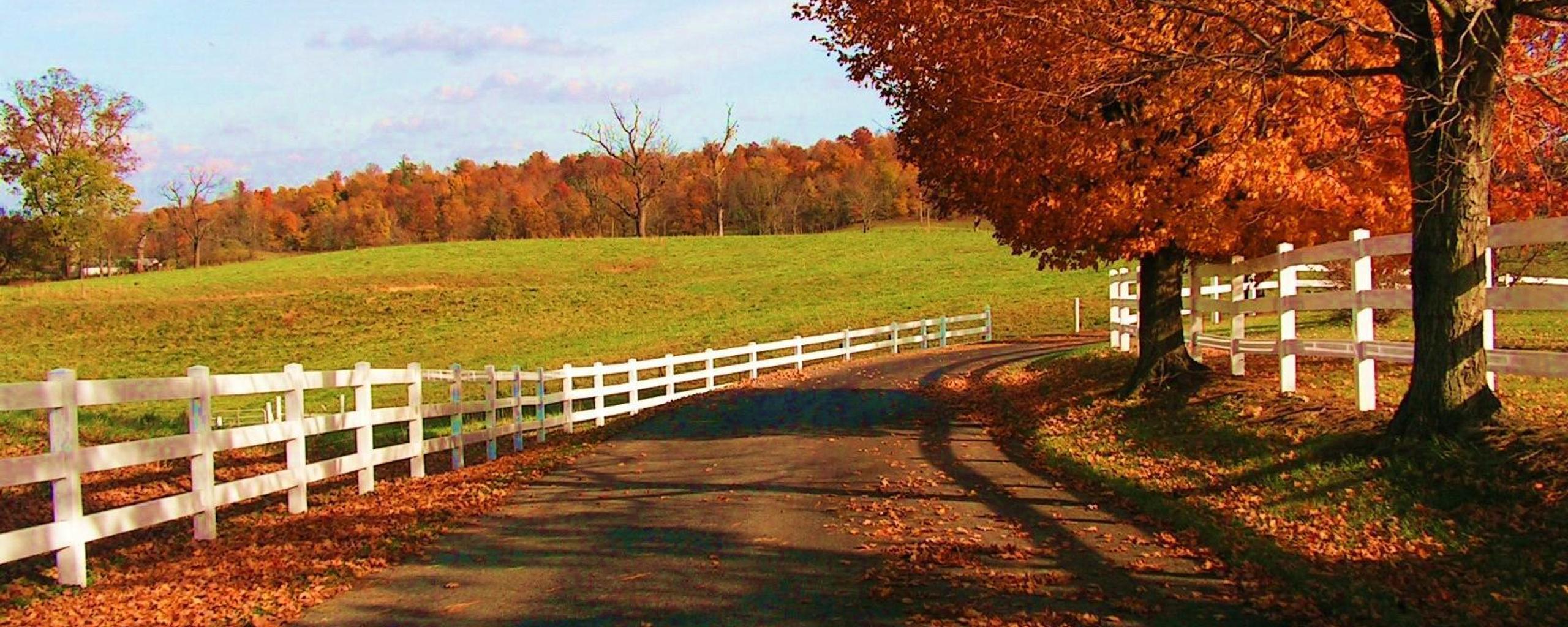 Country path Autumn season