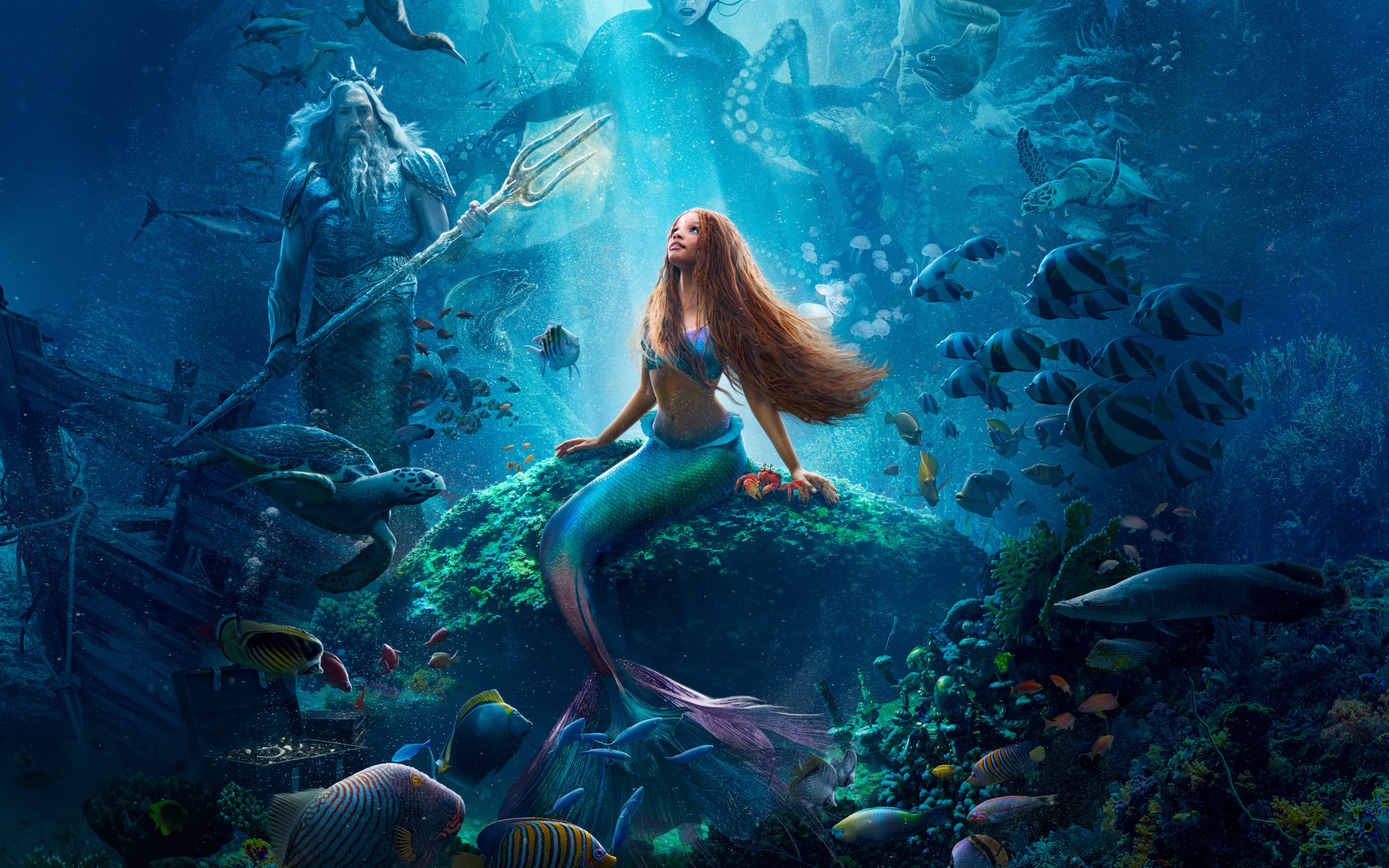 The Little Mermaid Wallpaper 4K, Halle