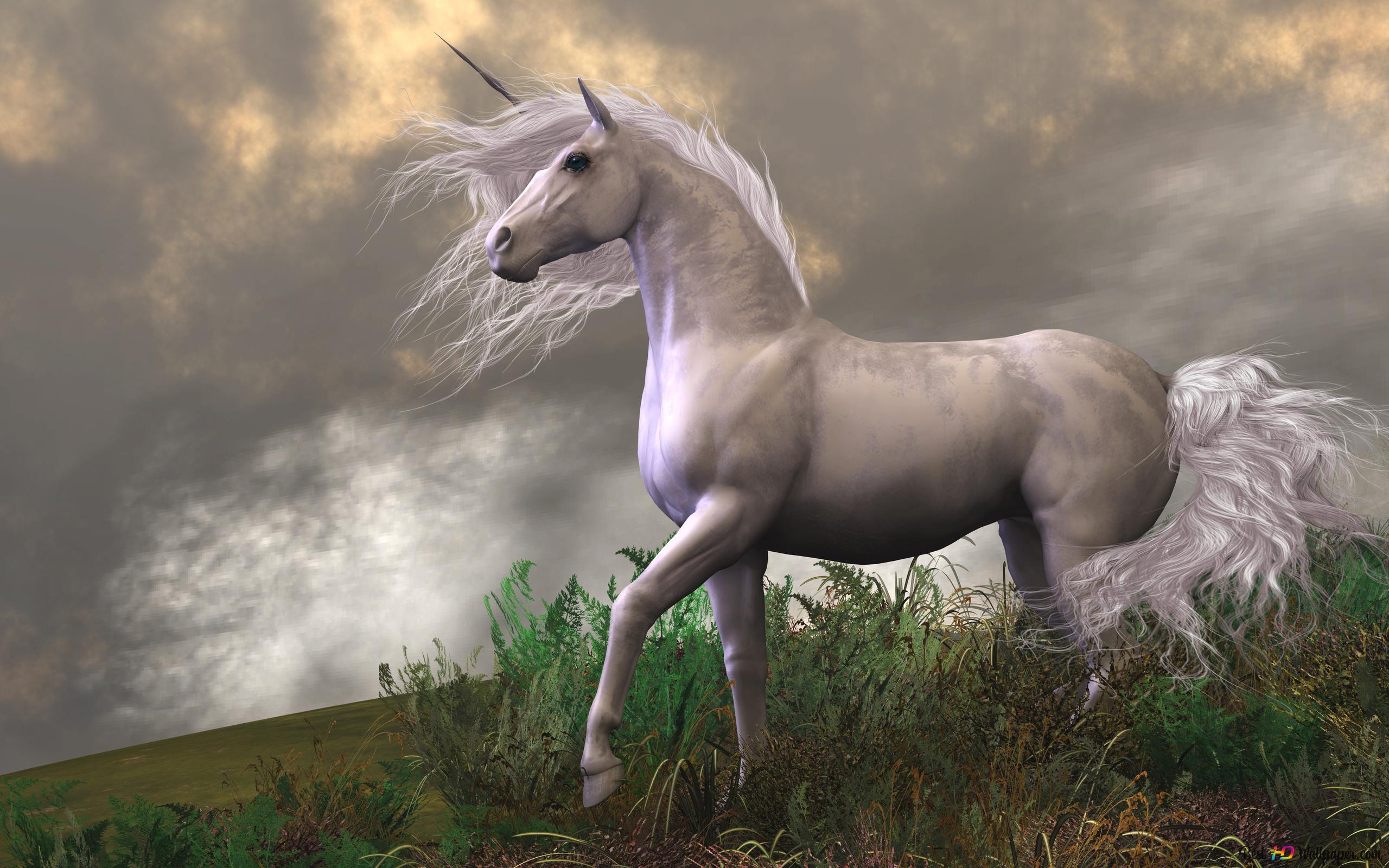 Prancing unicorn 4K wallpaper download