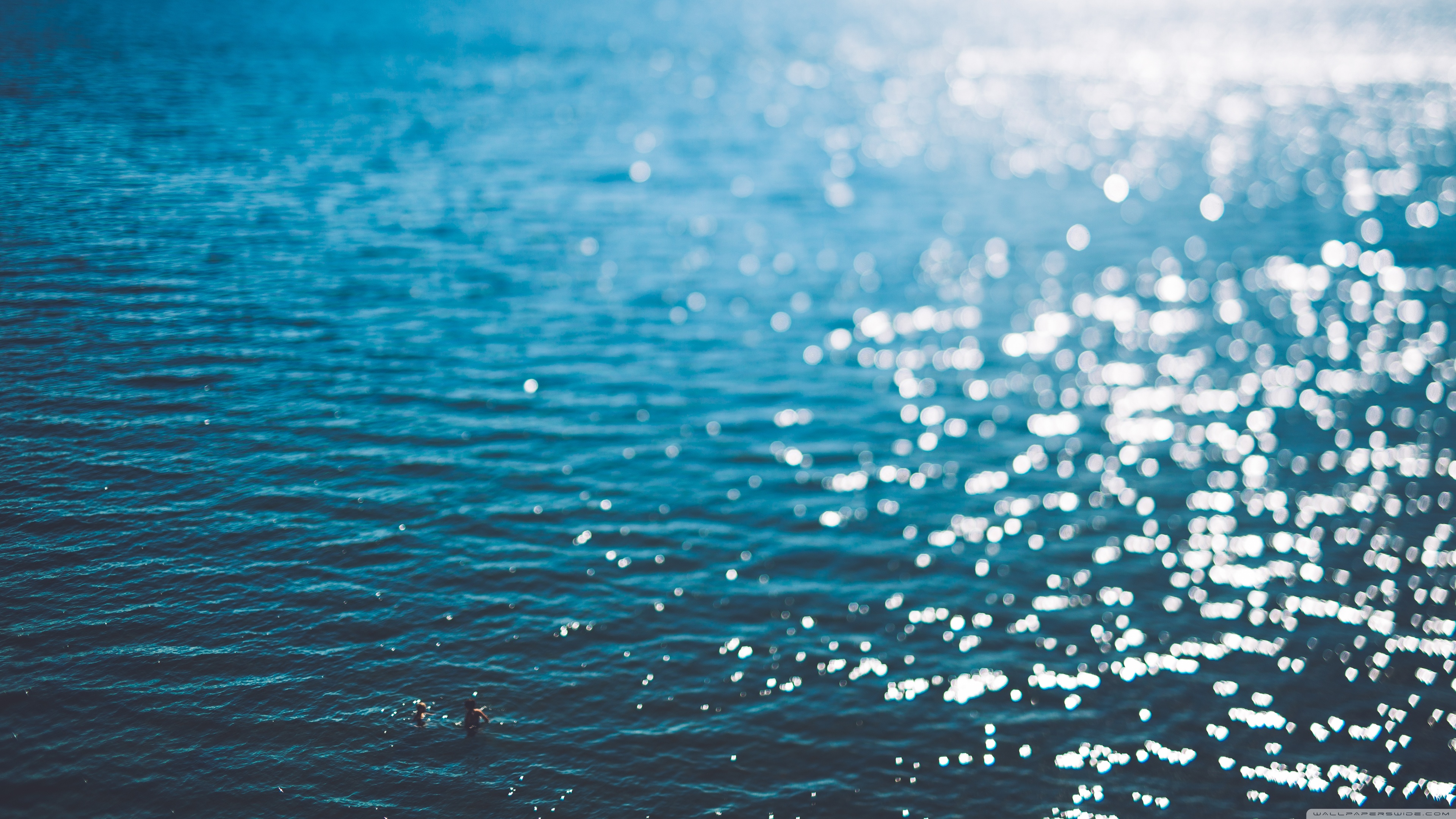 Swimming Ultra HD Desktop Background Wallpaper for 4K UHD TV, Widescreen & UltraWide Desktop & Laptop, Multi Display, Dual Monitor, Tablet