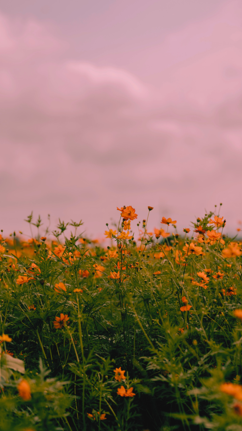 Free Preppy Wallpaper Designs