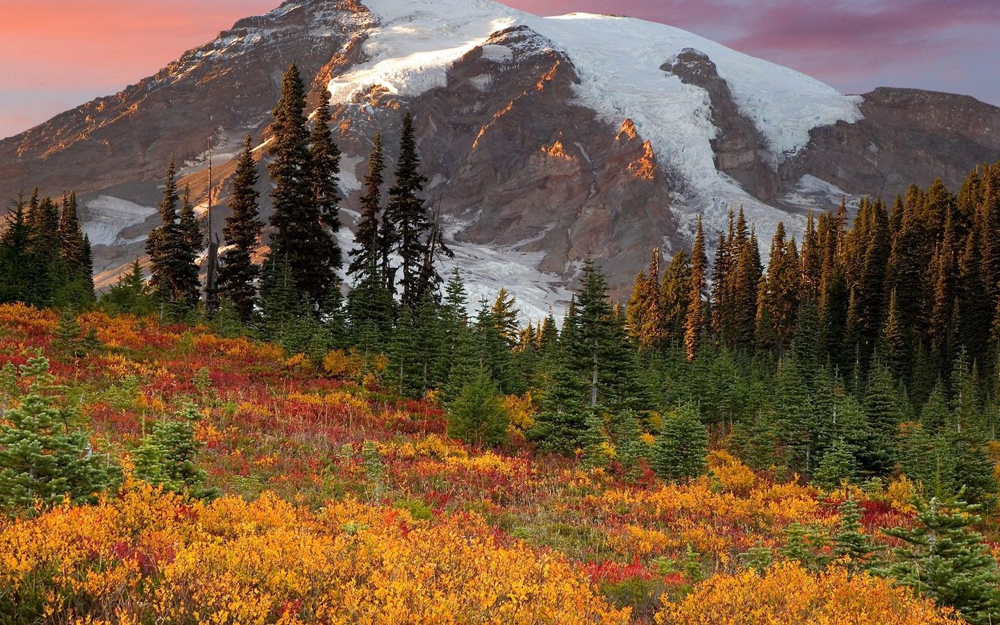 Download Wallpaper 1440x900 Mountains, Trees, Fur Trees, Autumn, Colors, Green, Yellow, Snow, Top Widescreen 16:10 HD Background
