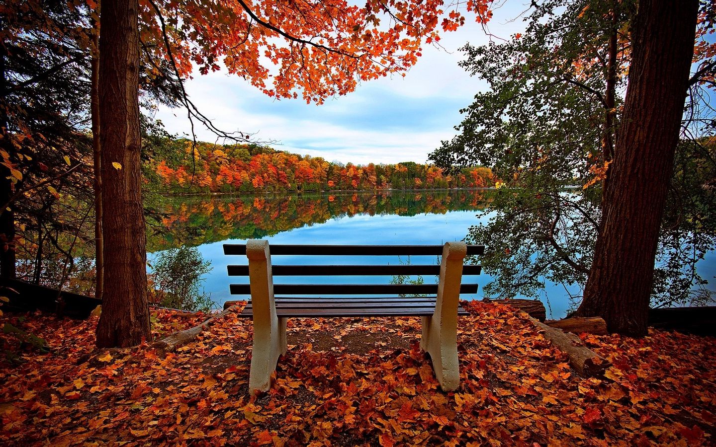 Download wallpaper 1440x900 bench, autumn, river, lake, trees widescreen 16:10 HD background
