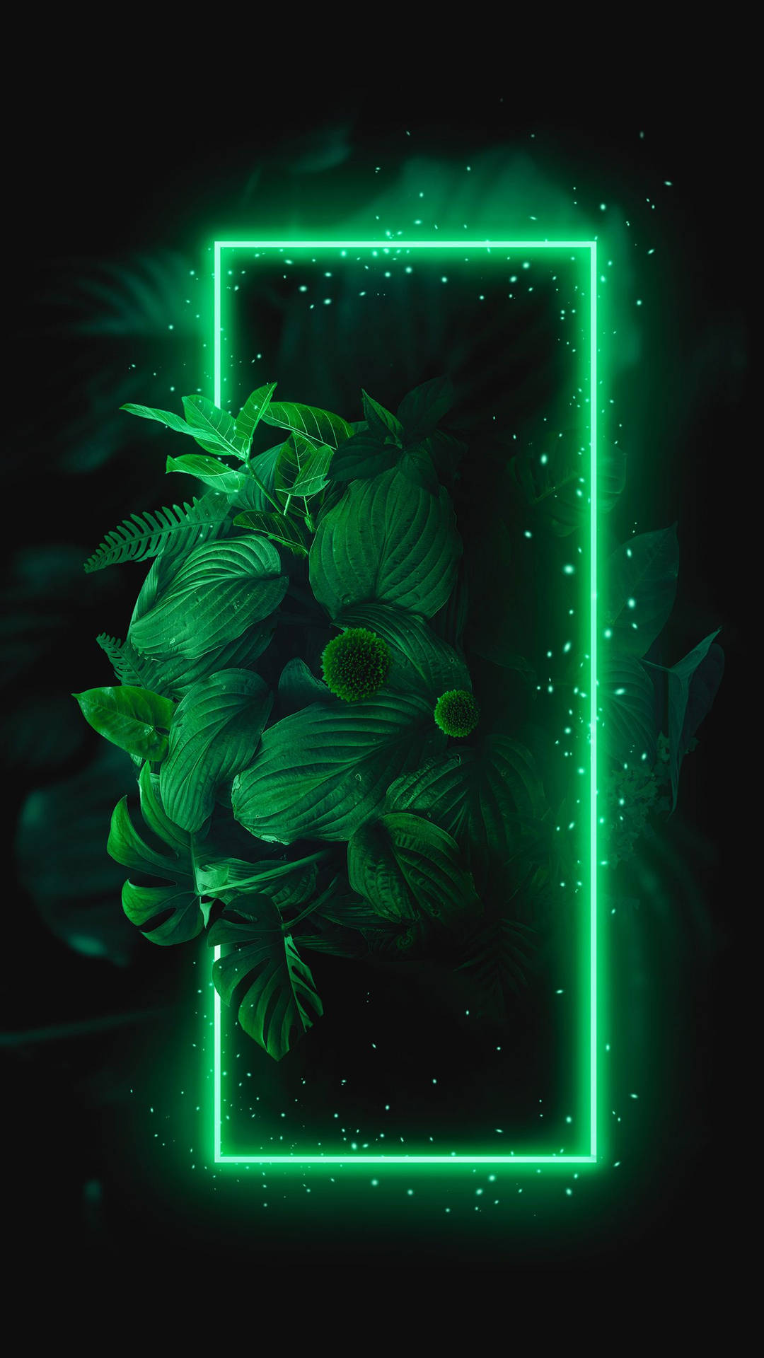 Plants Green iPhone Wallpaper