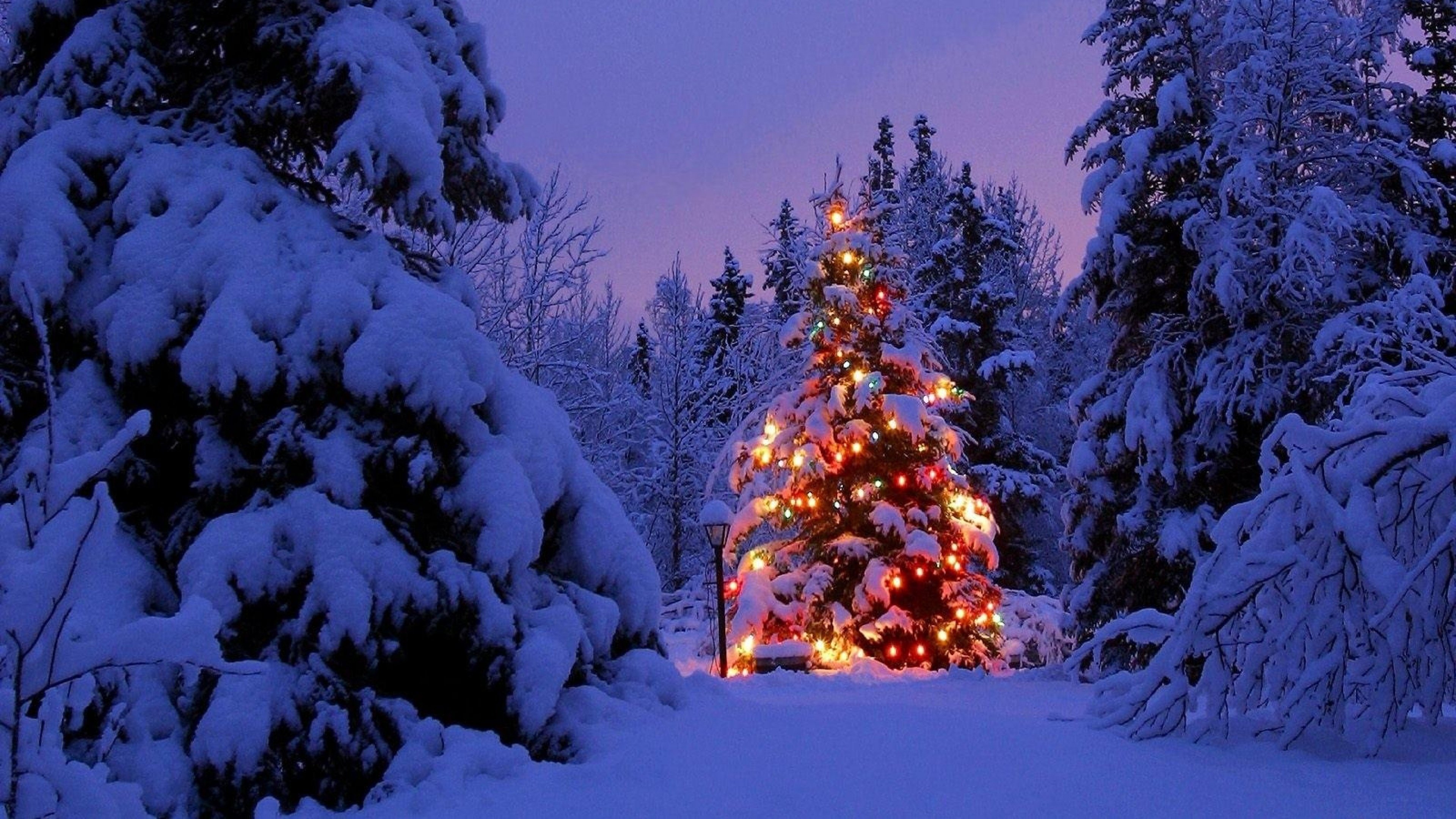 Free download Christmas wallpaper 3840x2160 Ultra HD 4k desktop background [3840x2160] for your Desktop, Mobile & Tablet. Explore Cool 4k Christmas Wallpaper. Cool Christmas Wallpaper, 4K Cool Dragon Wallpaper