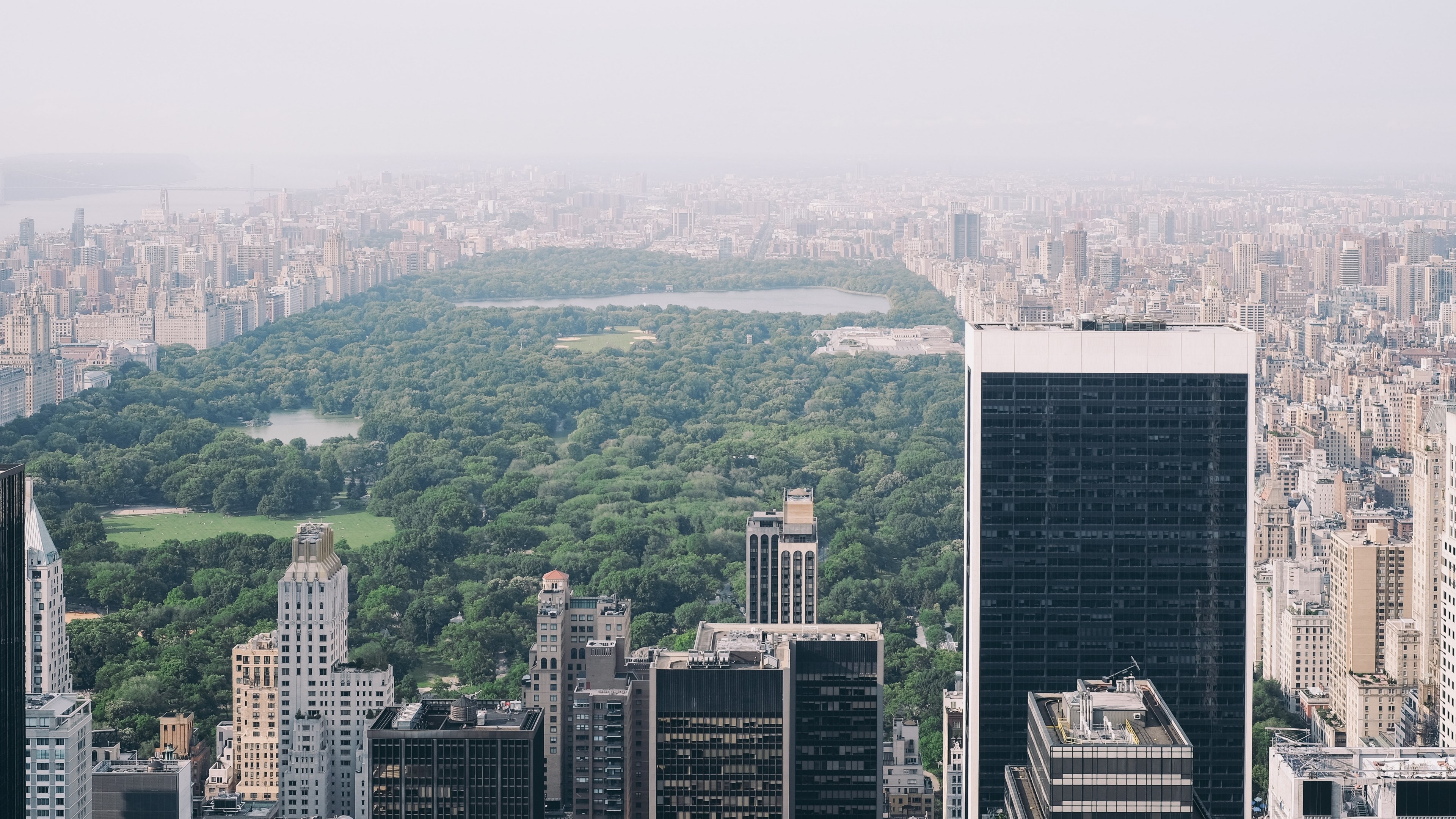 Wallpaper / drone view of central park in summer with green trees and the new york city skyline, perfect day for a picnic lunch 4k wallpaper free download