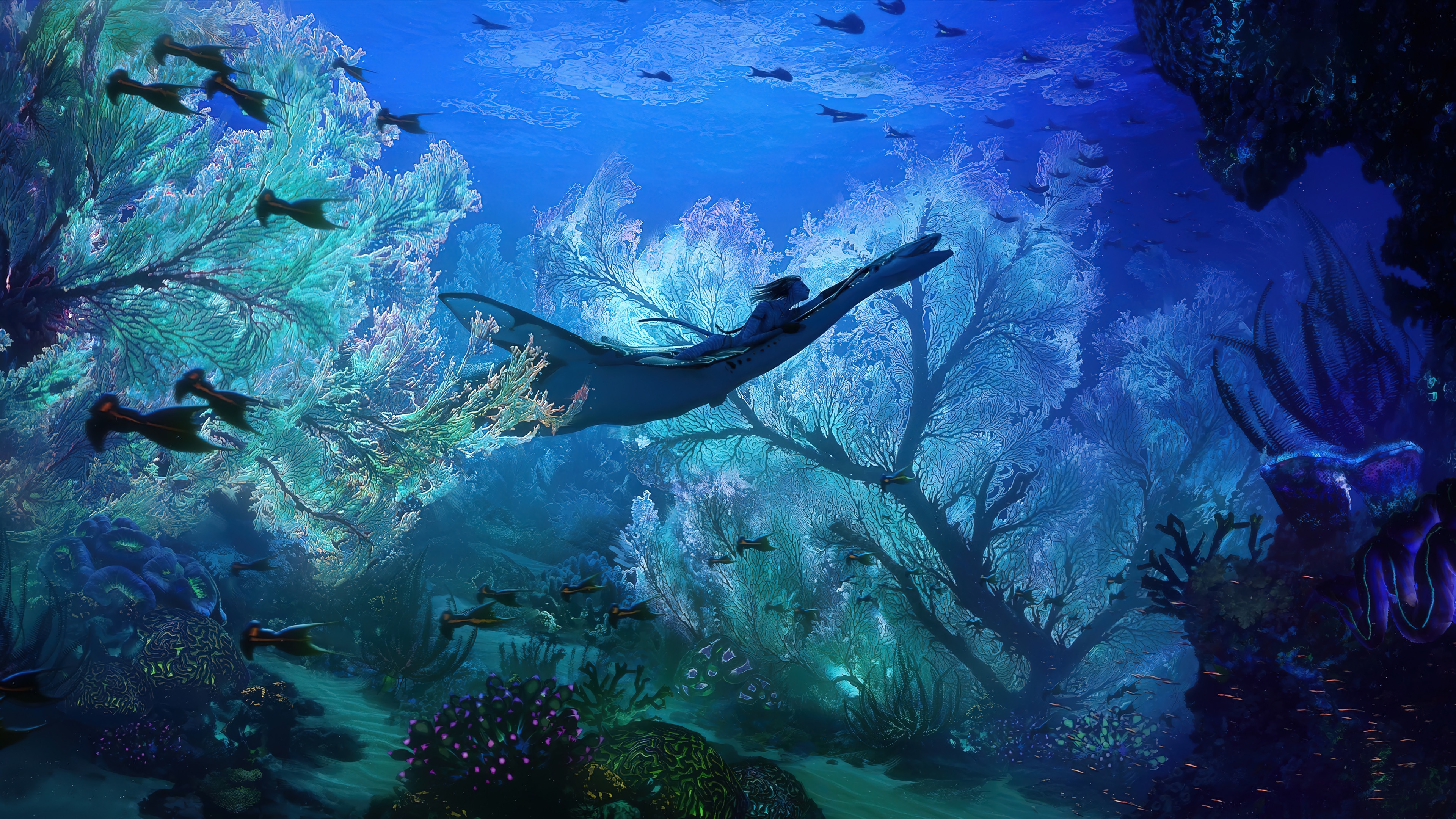 avatar the way of water, underwater, 4k Gallery HD Wallpaper