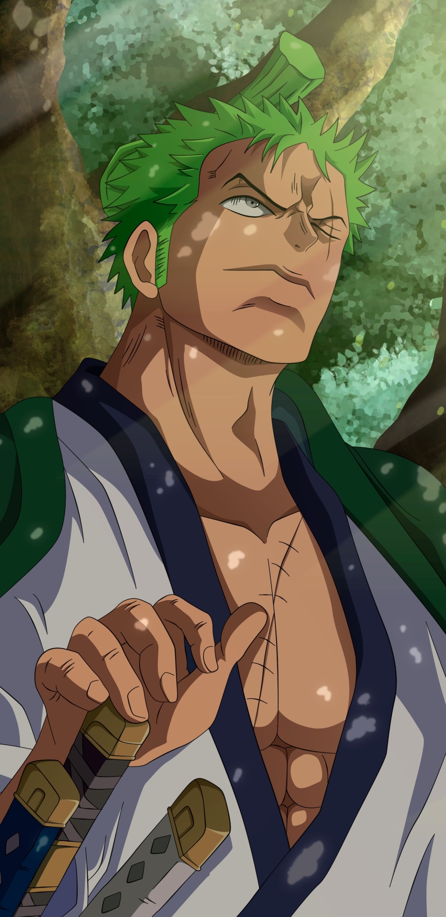 Wallpaper / Anime One Piece Phone Wallpaper, Roronoa Zoro, 1440x2960 free download
