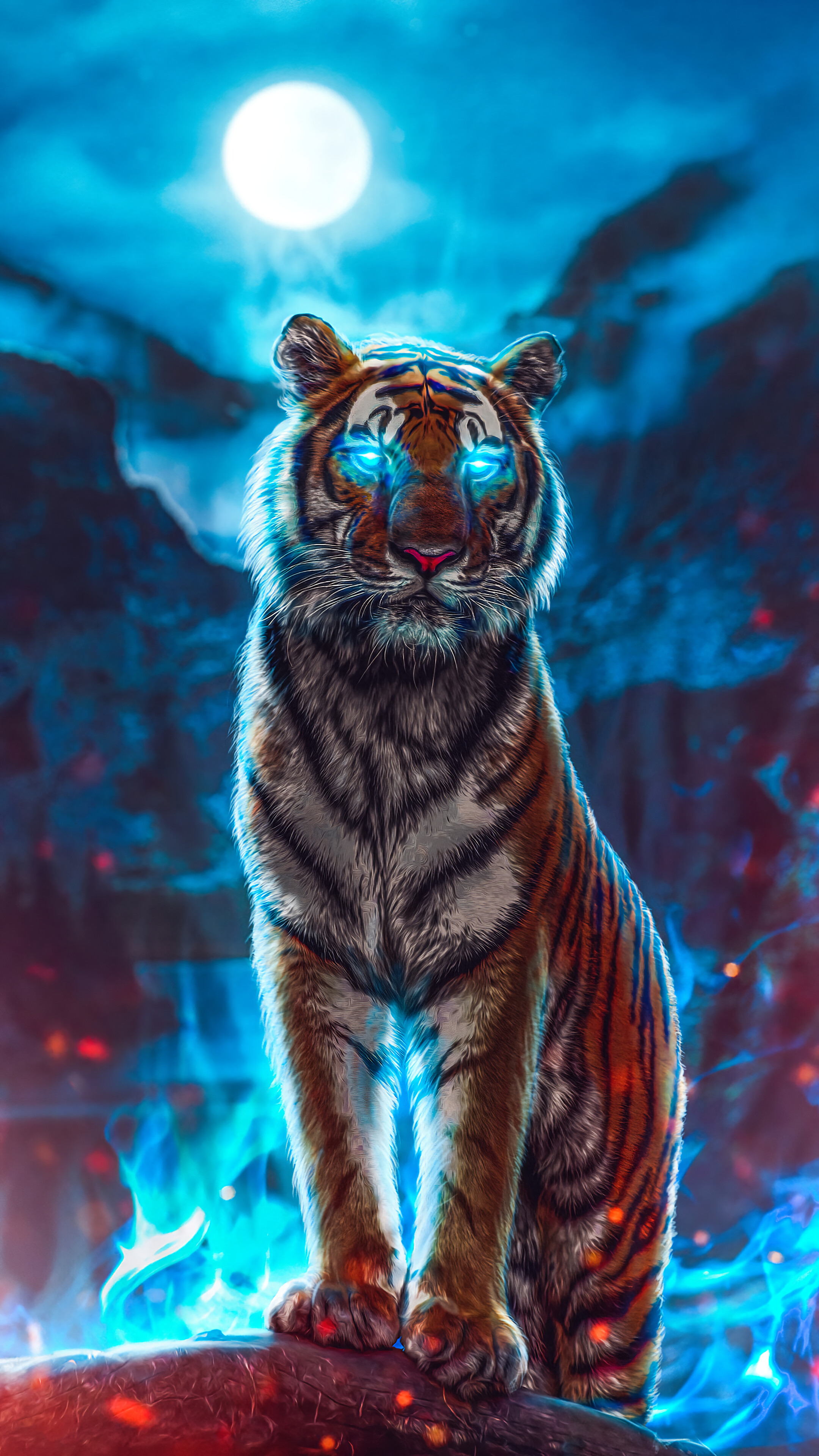 Tiger, Glowing, Eyes, 4k Gallery HD Wallpaper