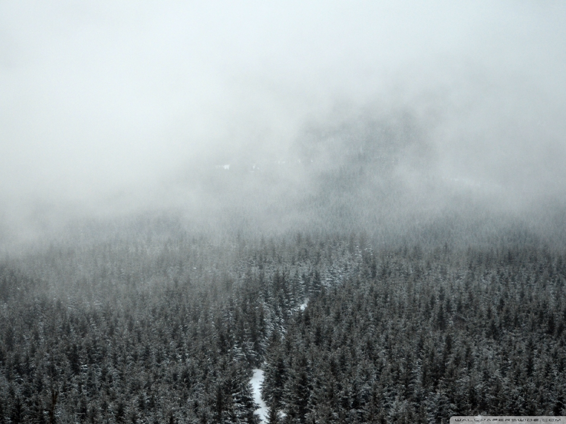 Free download Mist 4K HD Desktop Wallpaper for 4K Ultra HD TV Wide Ultra [1920x1440] for your Desktop, Mobile & Tablet. Explore Mist Wallpaper. Mist Wallpaper, Into The Mist