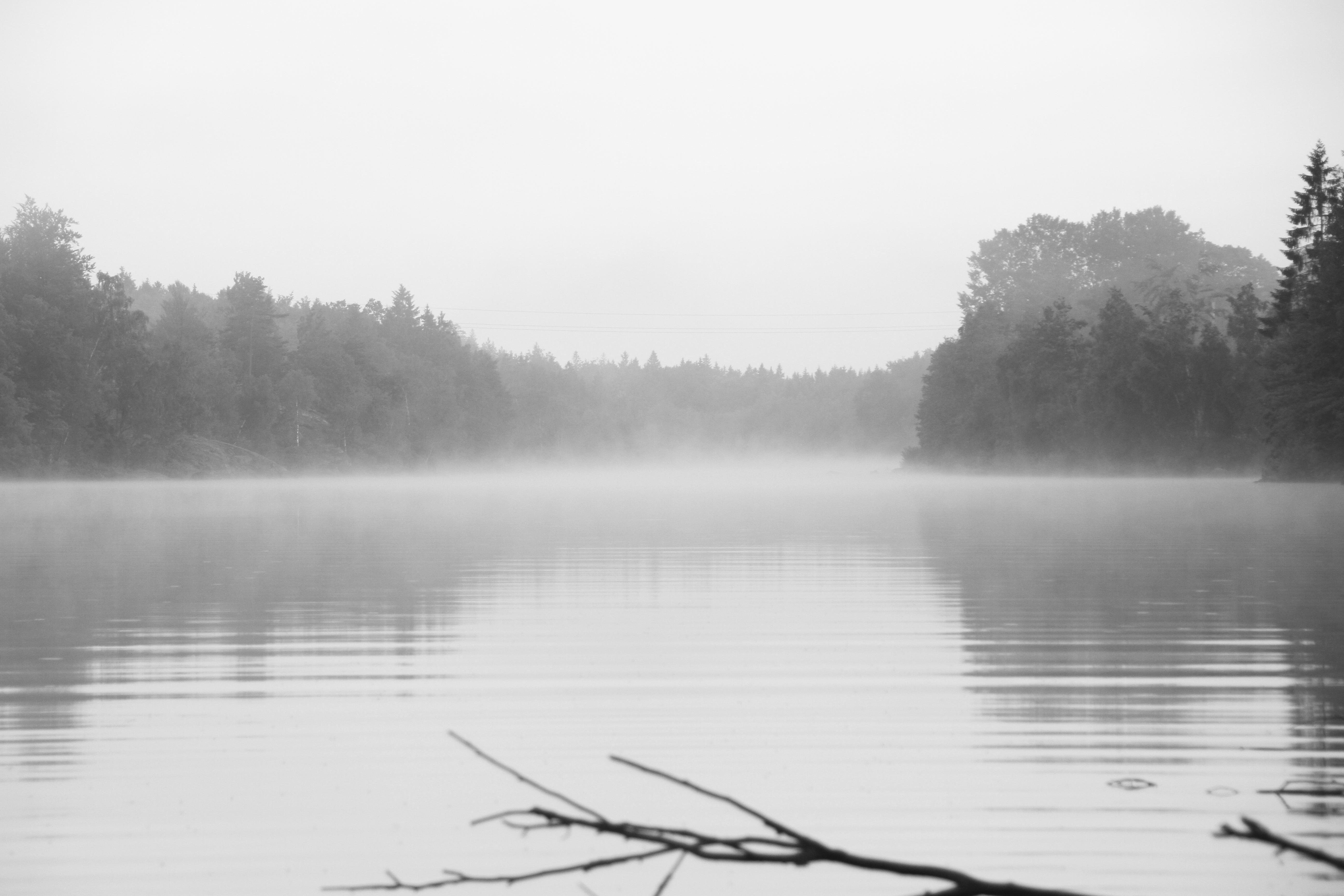 Fog 4K wallpaper for your desktop or mobile screen free and easy to download